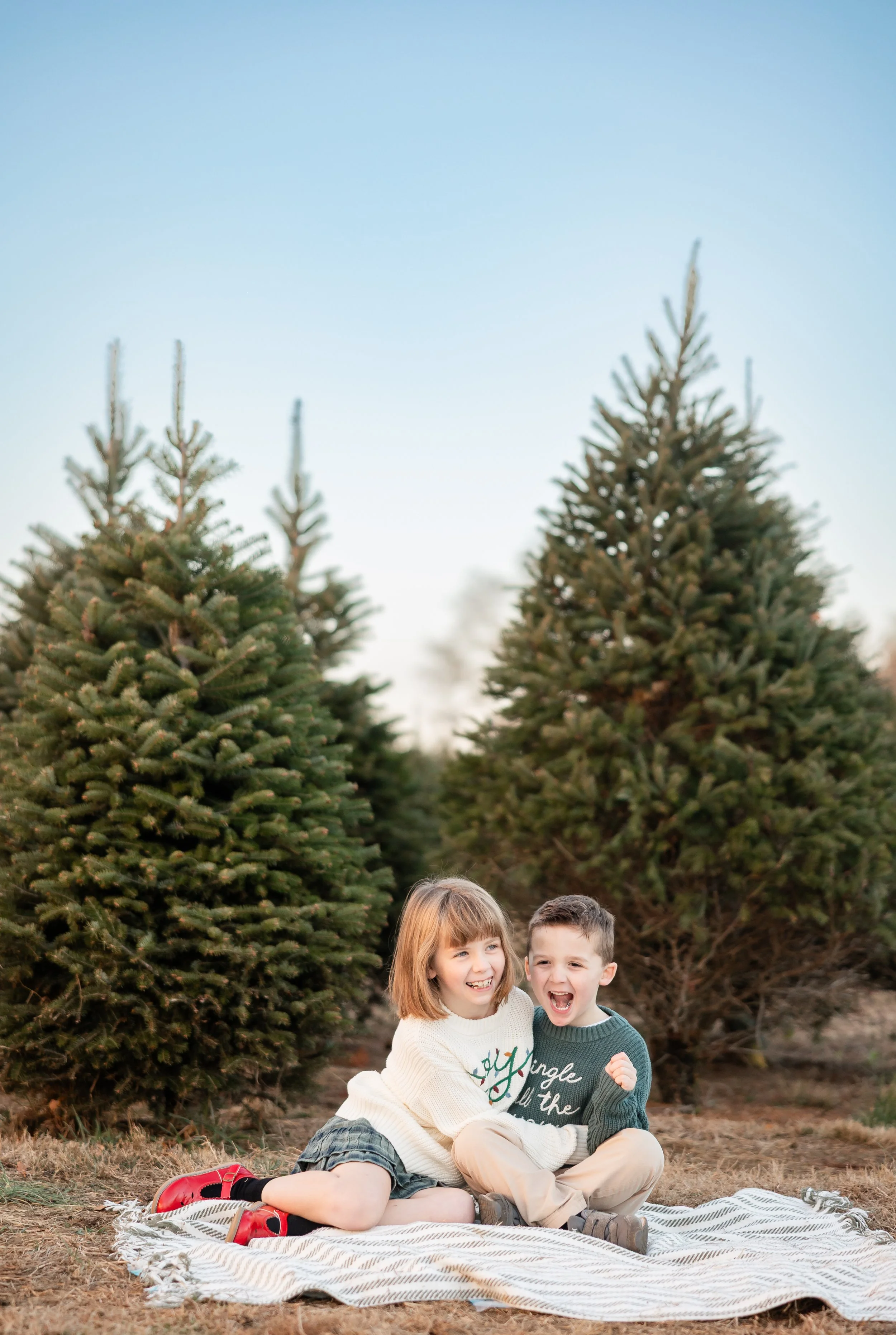 Bucks County Christmas Tree Mini Session