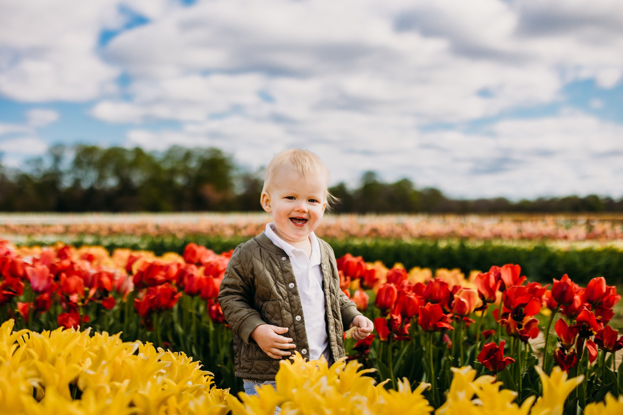 HOlland Ridge Farms Tulip Photographer _ Desiree Hoelzle Photography