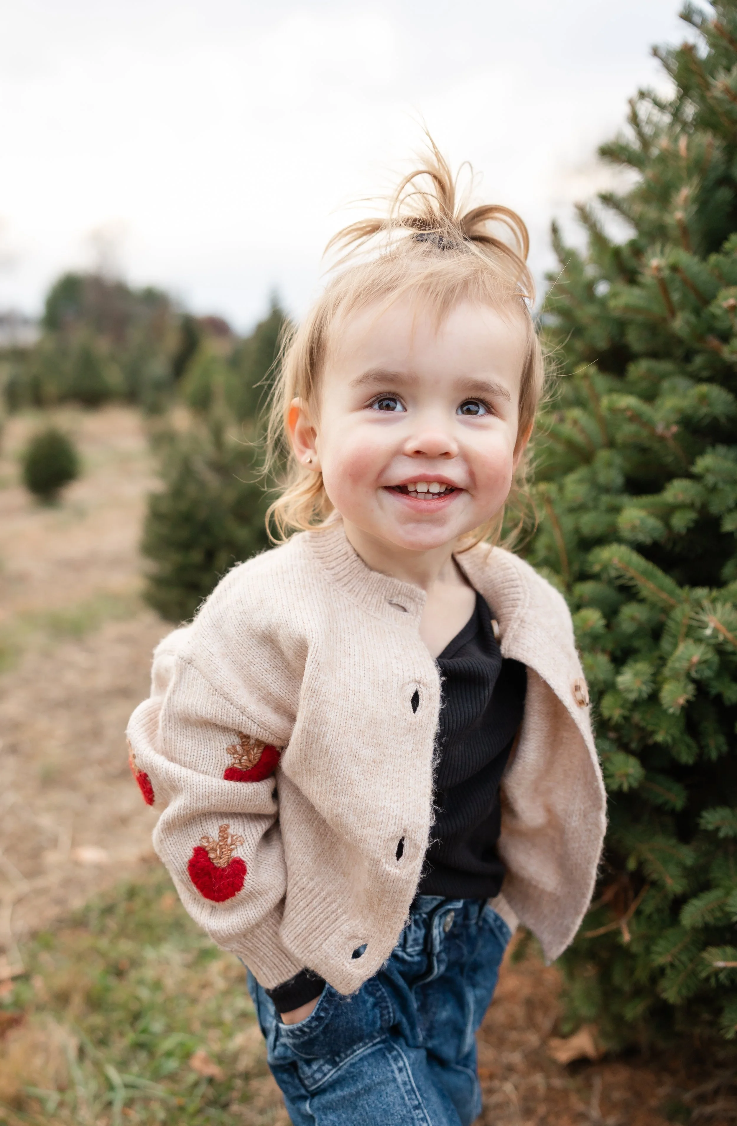 Christmas Tree Farm Photography