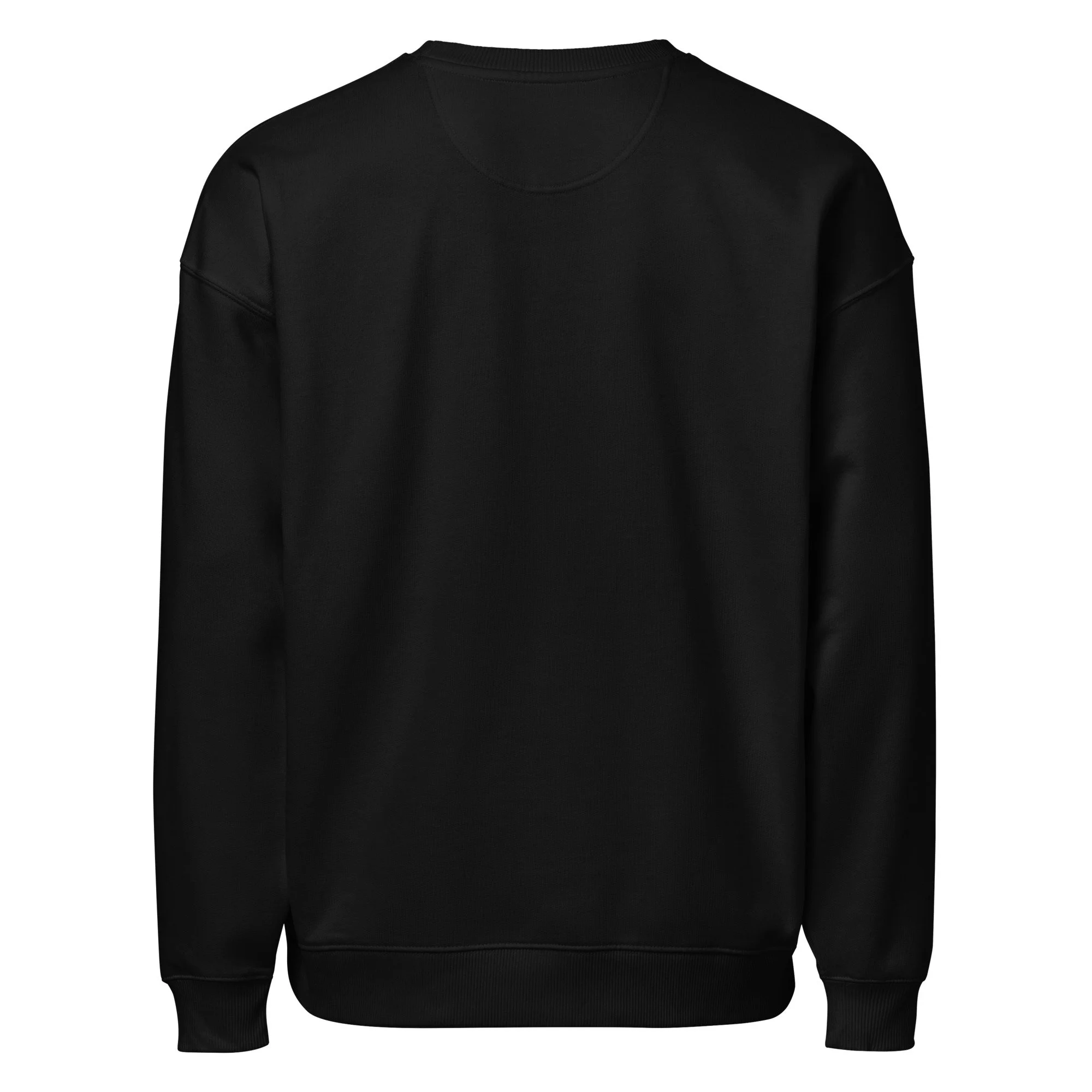 unisex-organic-oversized-sweatshirt-black-back-699e355986b1d.jpg