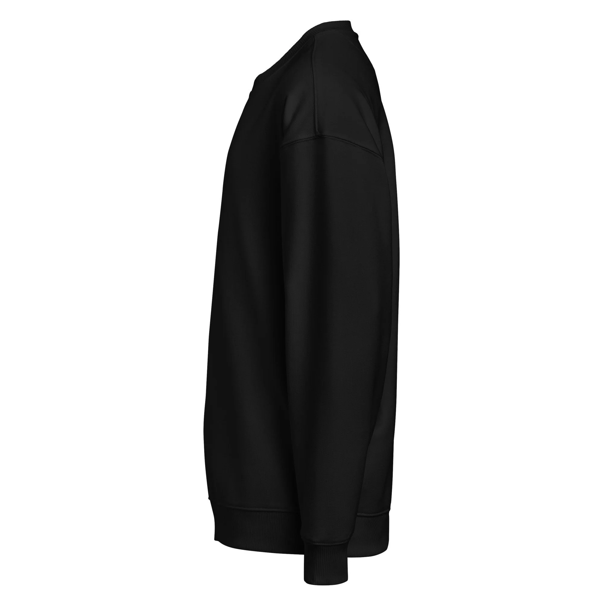 unisex-organic-oversized-sweatshirt-black-left-699e35598870e.jpg