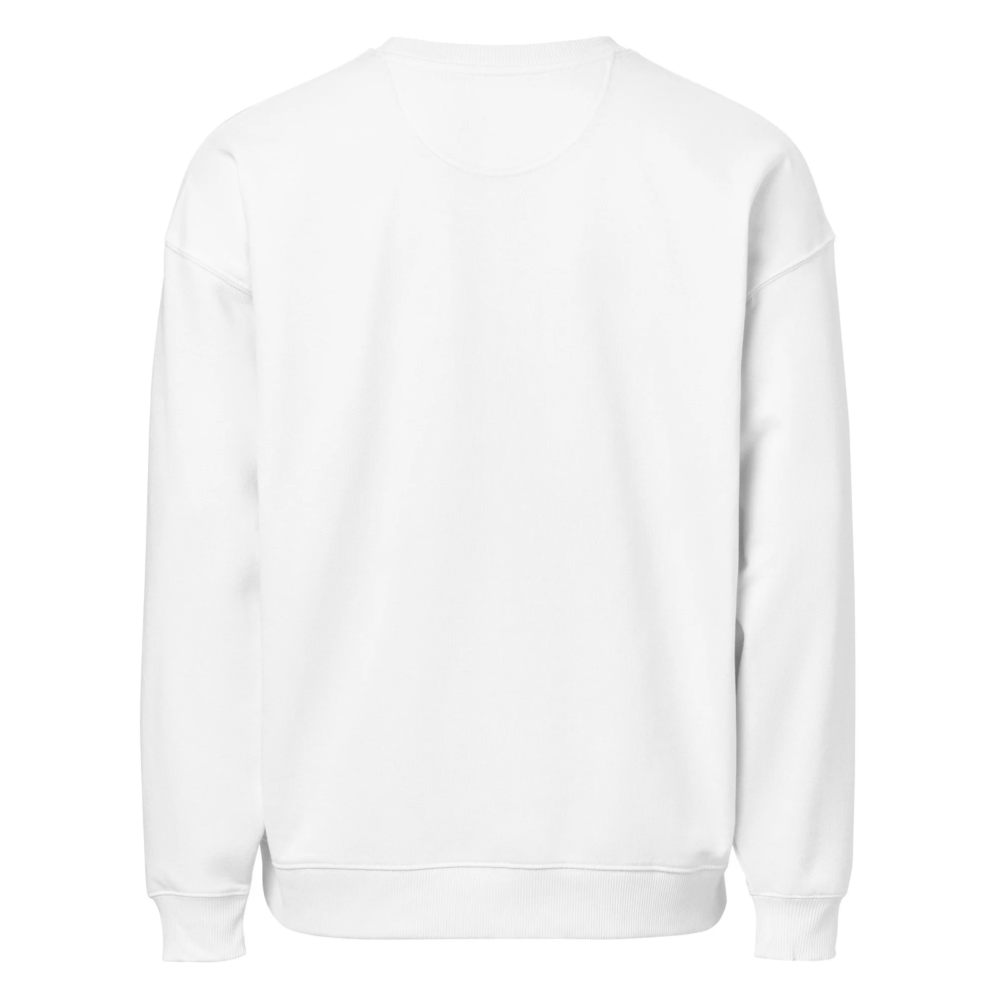 unisex-organic-oversized-sweatshirt-white-back-699e3559891ea.jpg