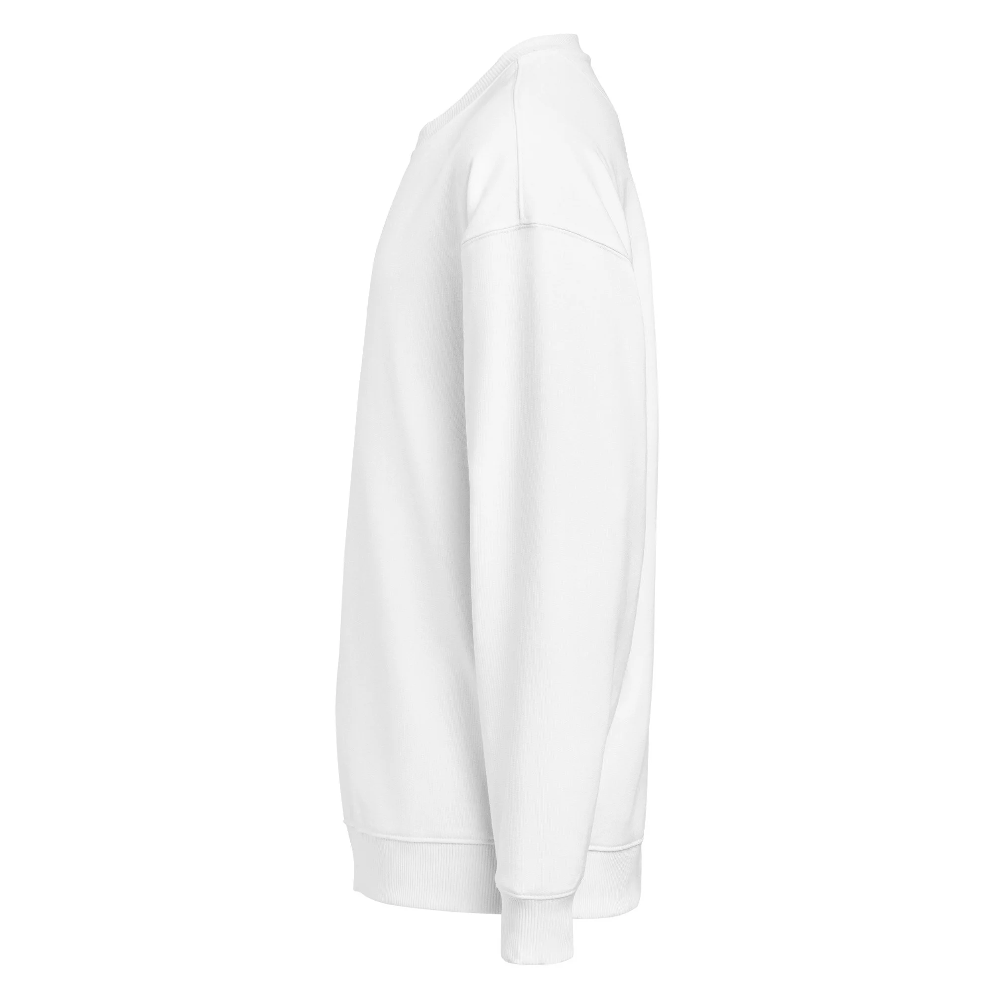 unisex-organic-oversized-sweatshirt-white-left-699e355989752.jpg