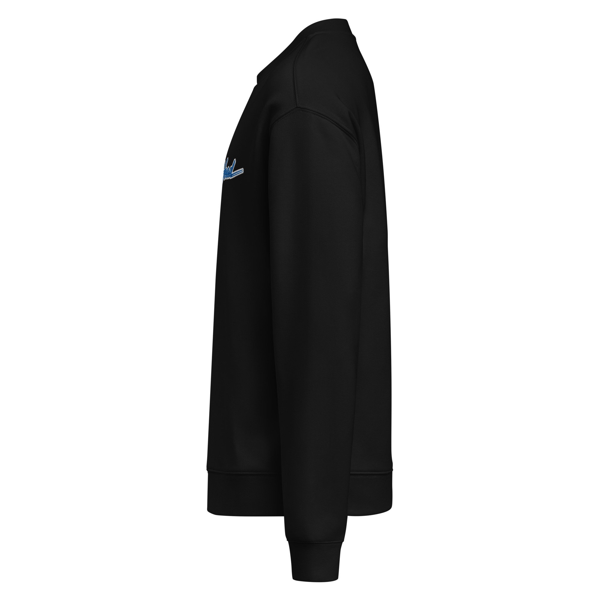 unisex-relax-crew-neck-sweatshirt-black-left-6a066f4b8d8ce.jpg