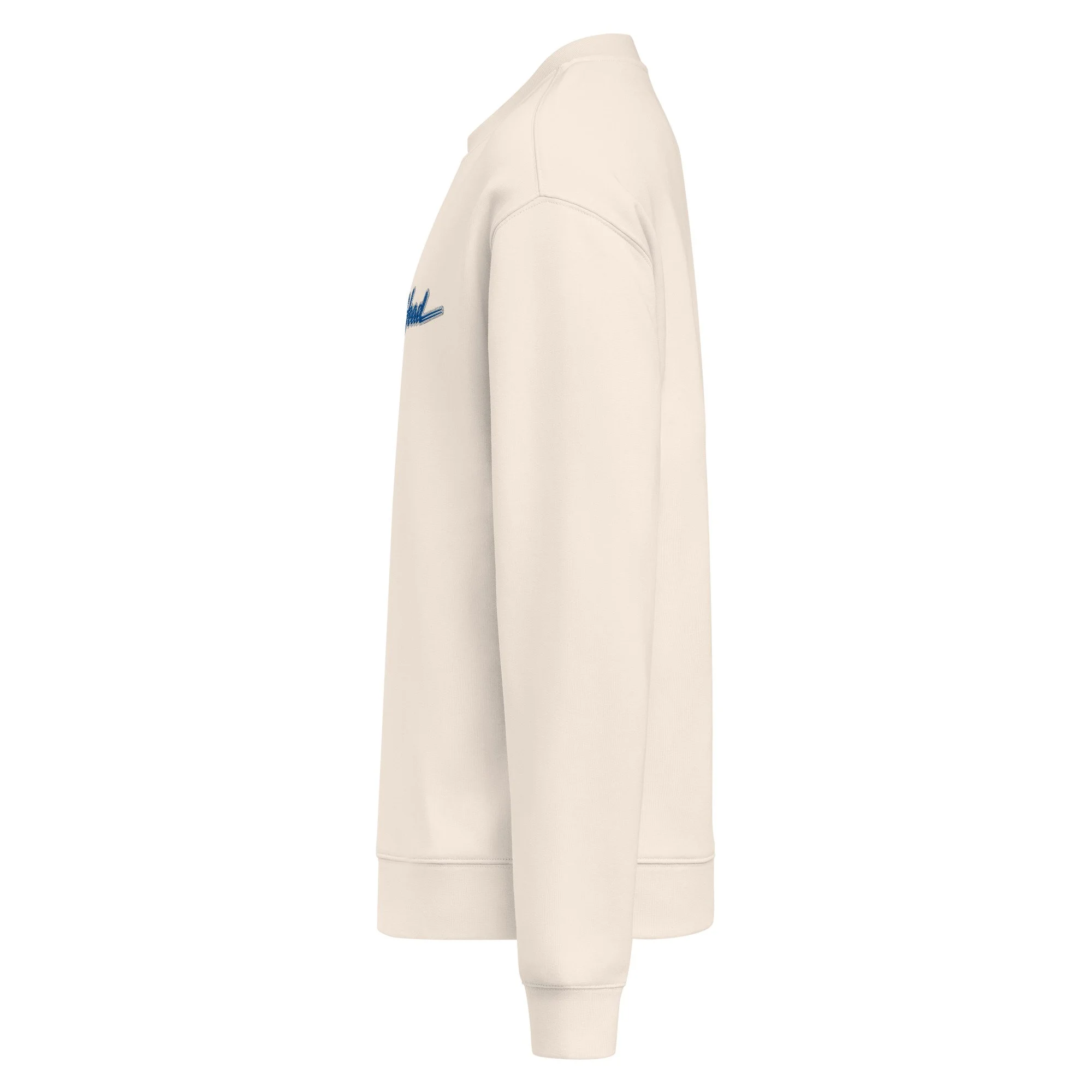 unisex-relax-crew-neck-sweatshirt-bone-left-6a066f4b8e70d.jpg