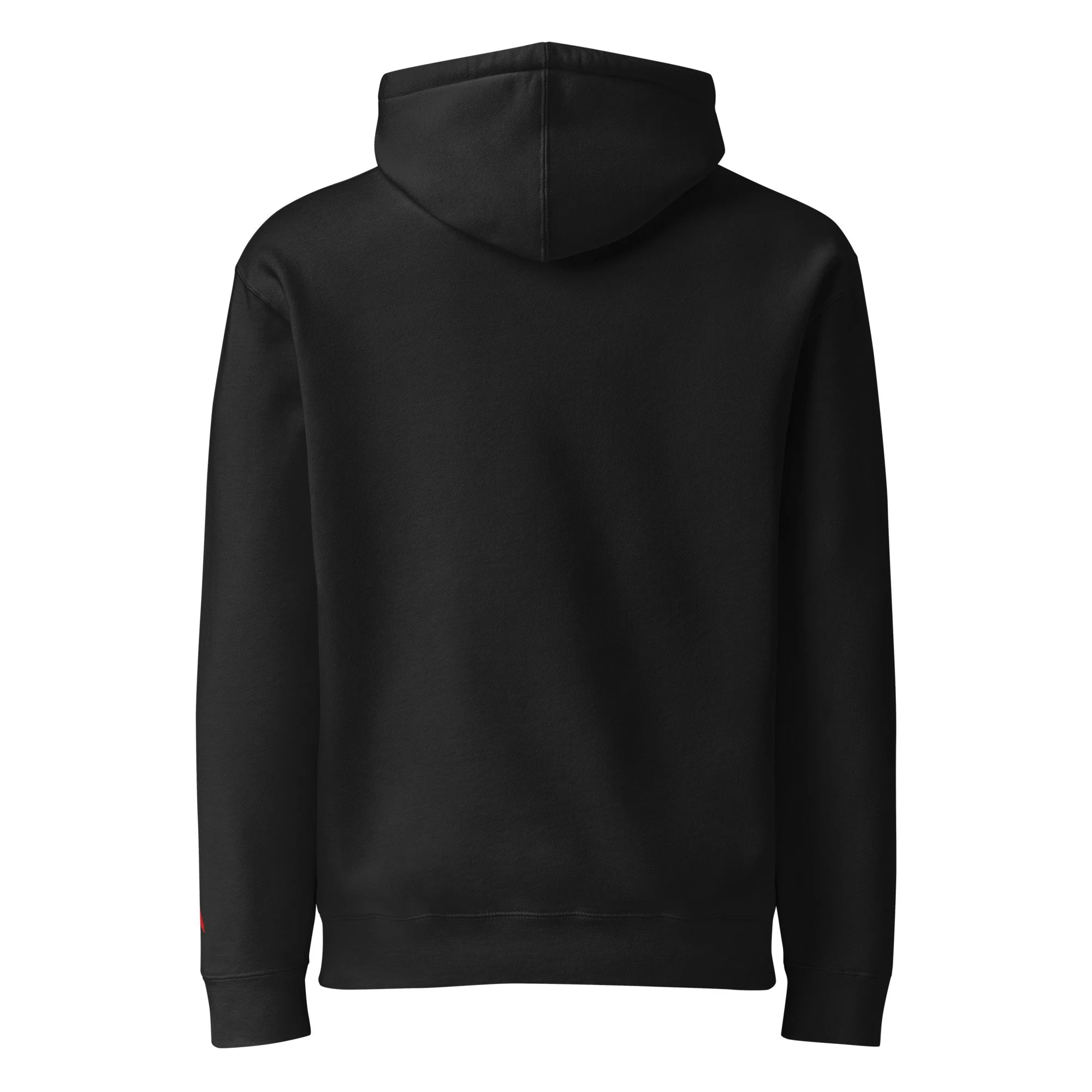 unisex-heavyweight-hooded-sweatshirt-black-back-6a07a51c84368.jpg
