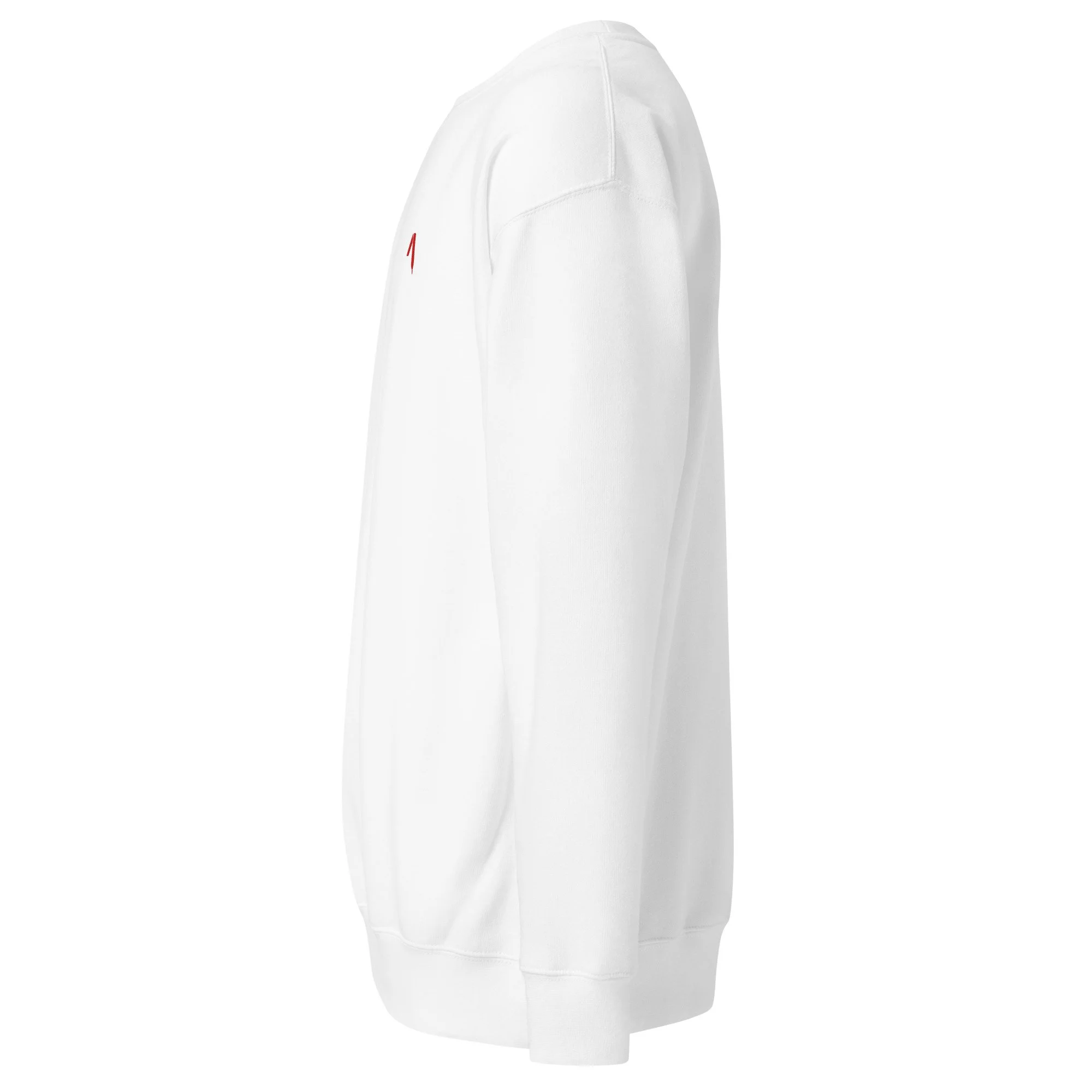 unisex-premium-sweatshirt-white-left-6ad4fe29e74d3.jpg