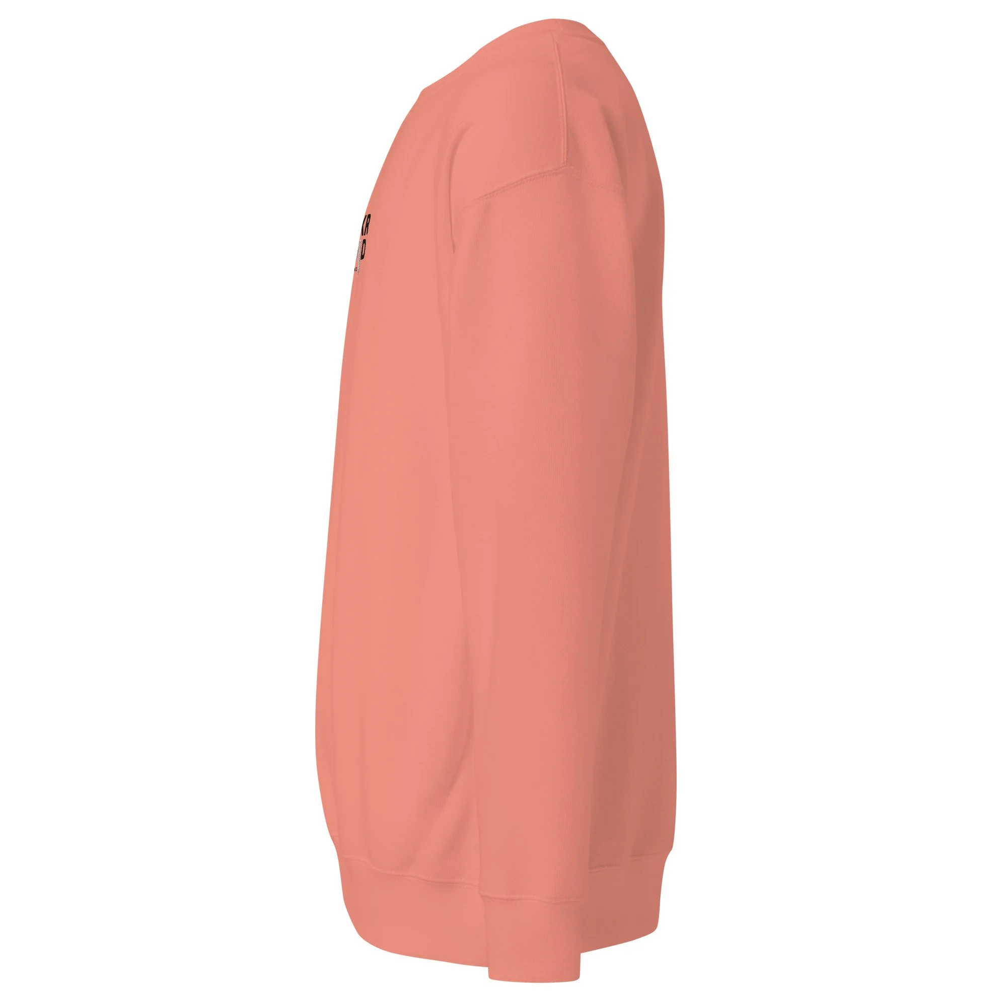 unisex-premium-sweatshirt-dusty-rose-left-6ae09682db695.jpg