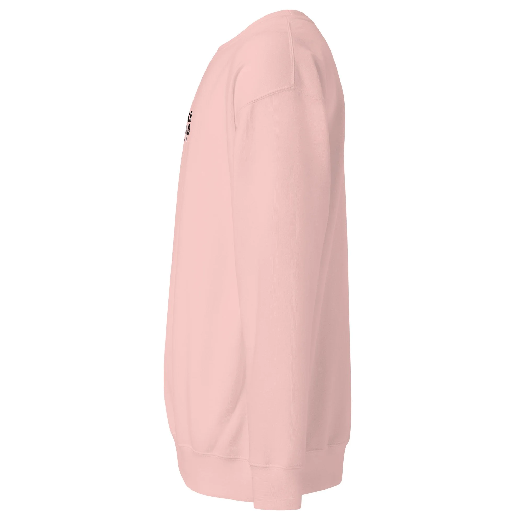 unisex-premium-sweatshirt-light-pink-left-6ae09682db784.jpg