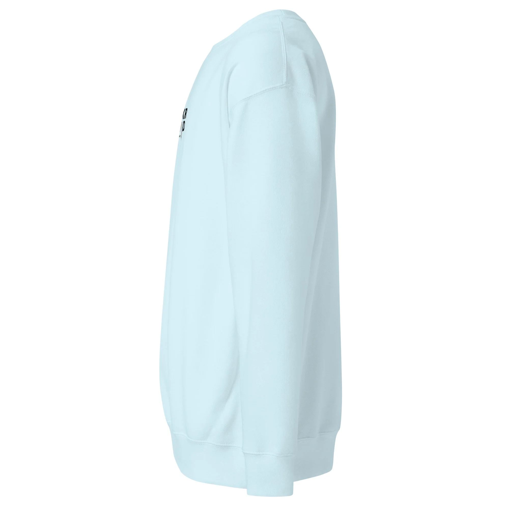 unisex-premium-sweatshirt-sky-blue-left-6ae09682db725.jpg