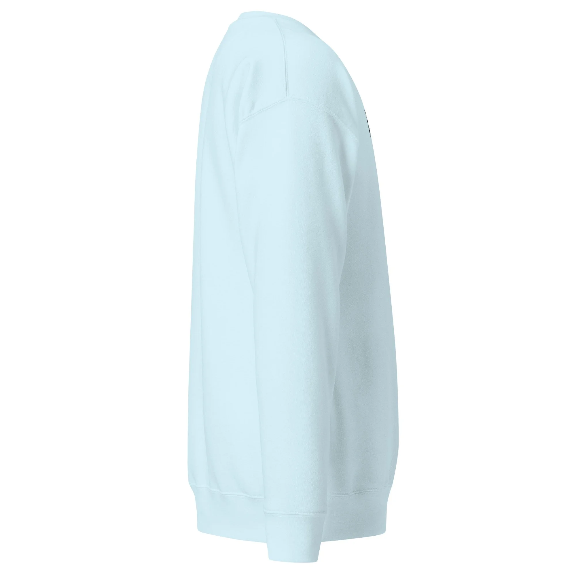 unisex-premium-sweatshirt-sky-blue-right-6ae09682dbdf9.jpg