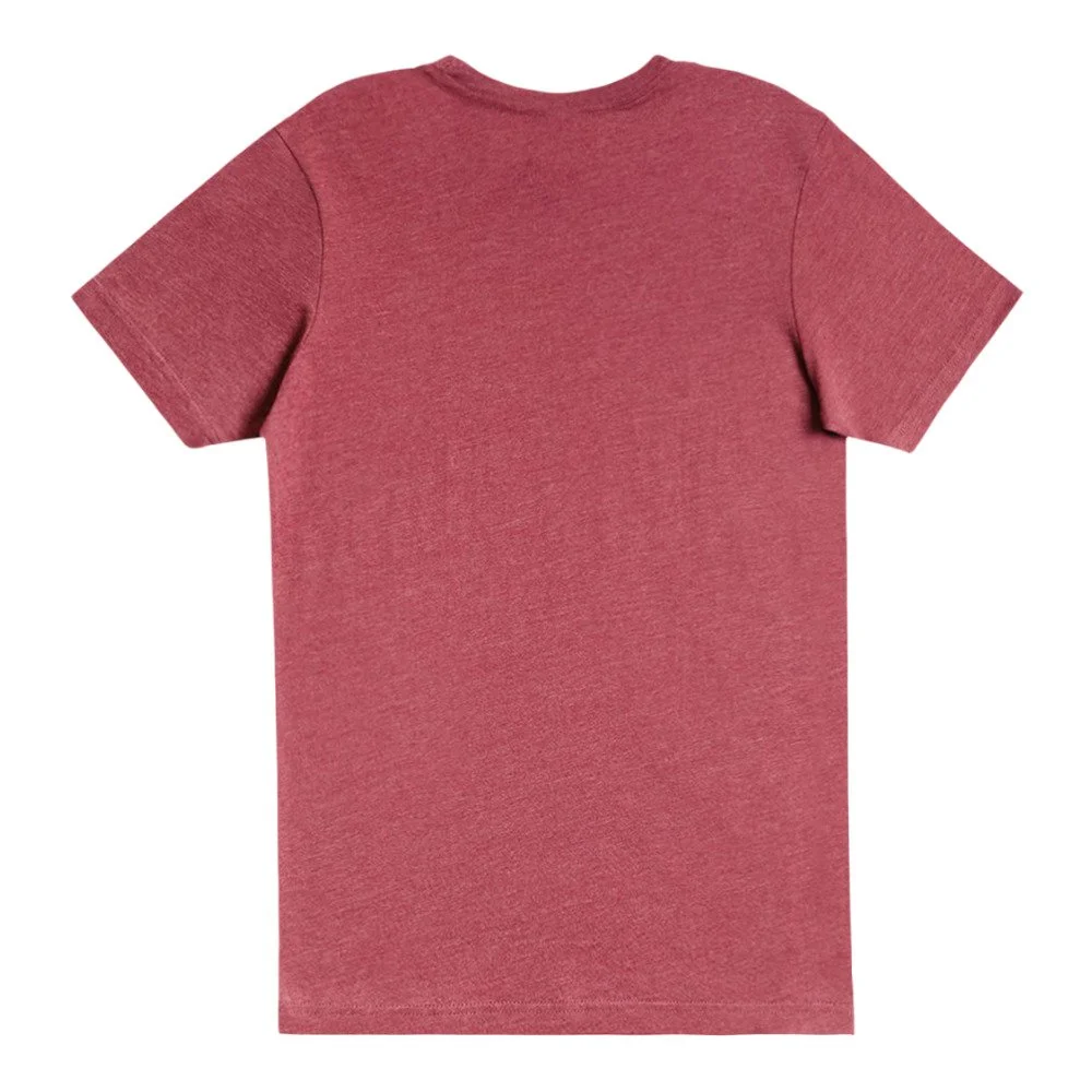 unisex-deluxe-cvc-t-shirt-burgundy-heather-back-6ae105e2c7825.jpg