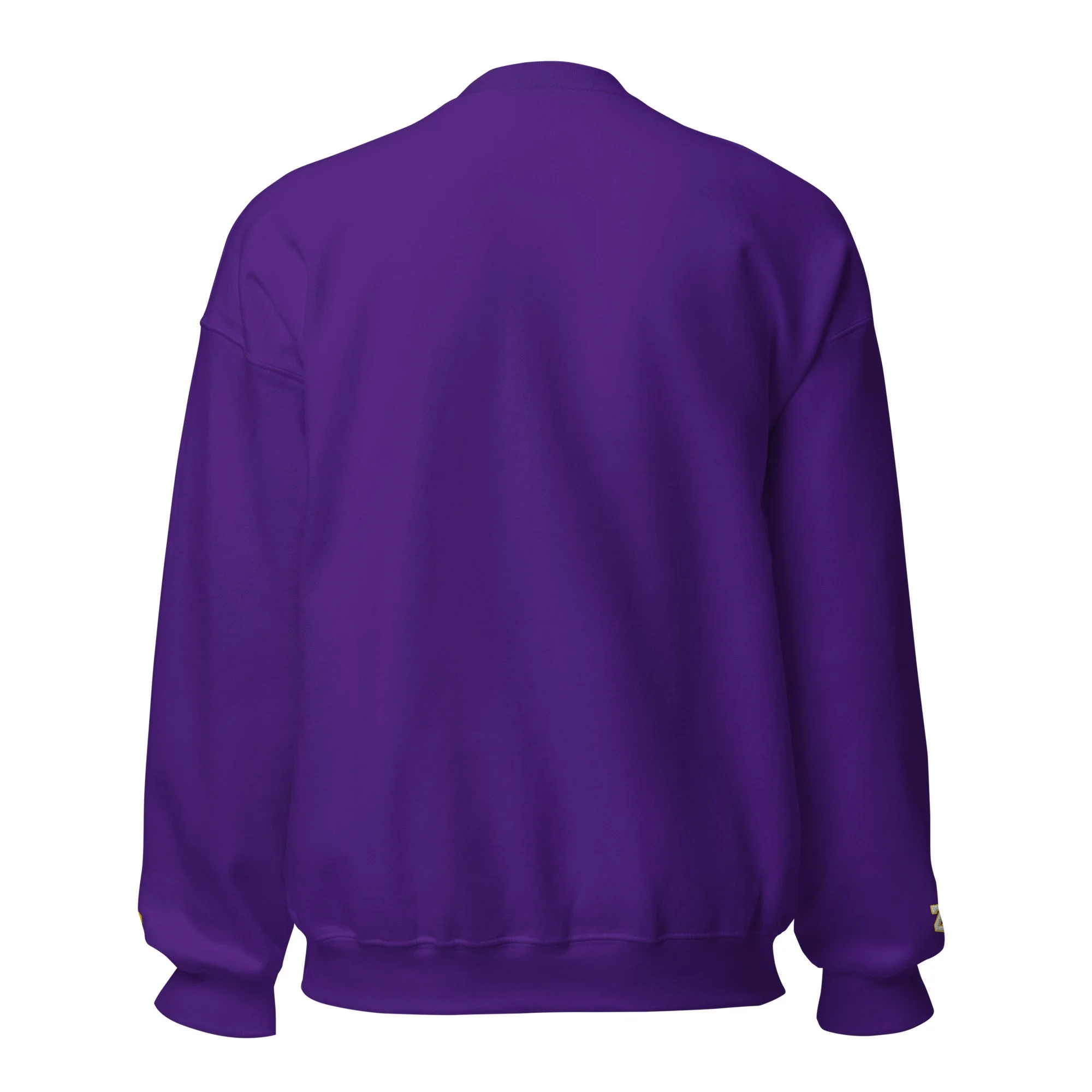 unisex-crew-neck-sweatshirt-purple-back-6ae490e28258e.jpg