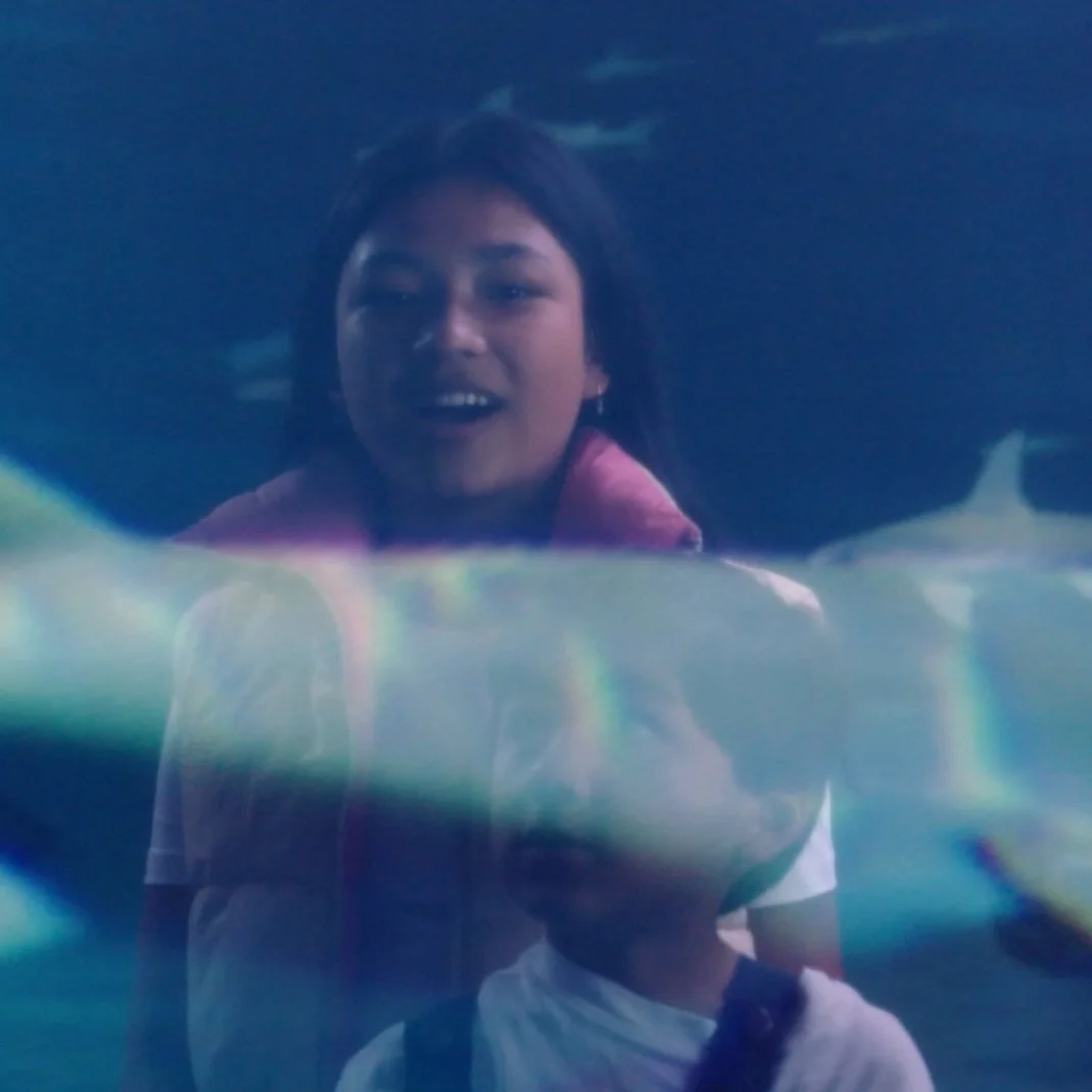 Australian Museum | Sharks Exhibit