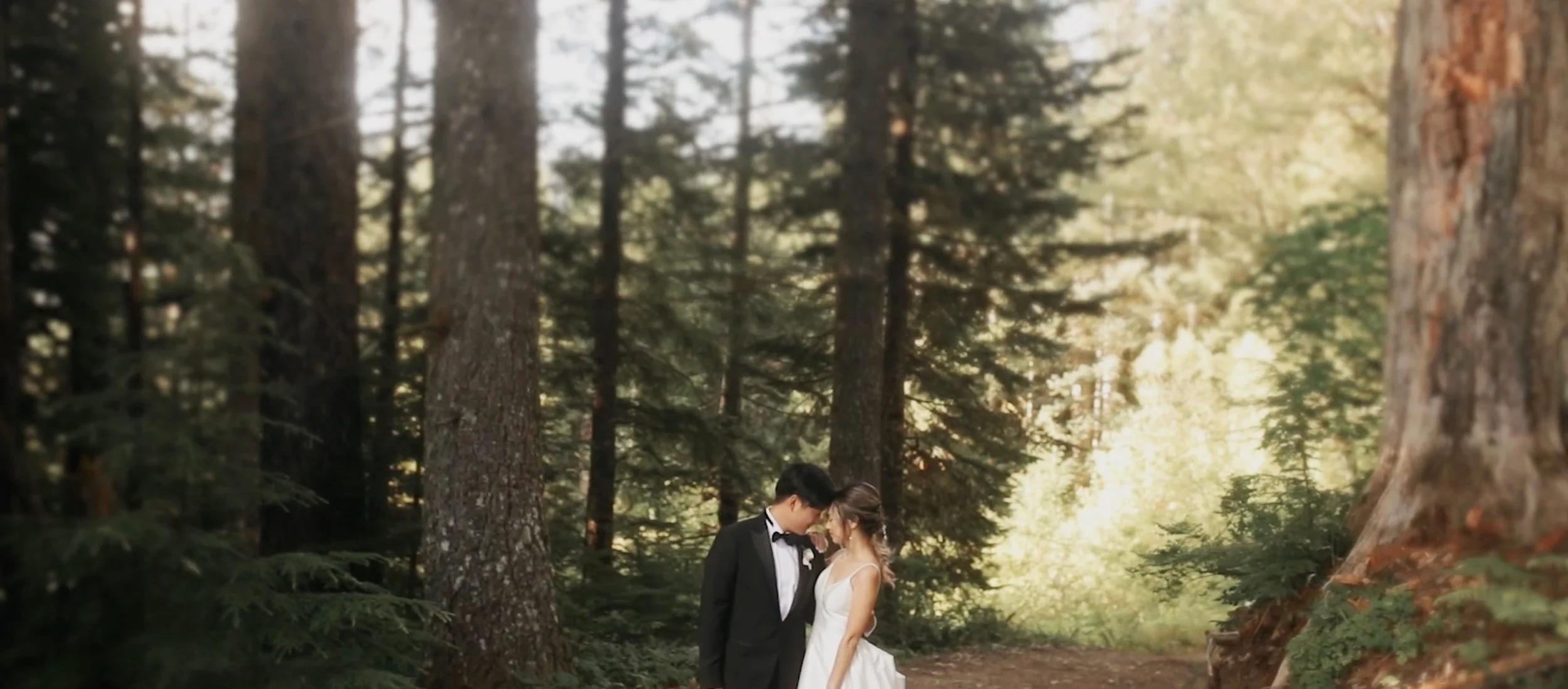 Noble Ridge Tree Deck Wedding in Magical Forest — JEFFREY H. LE