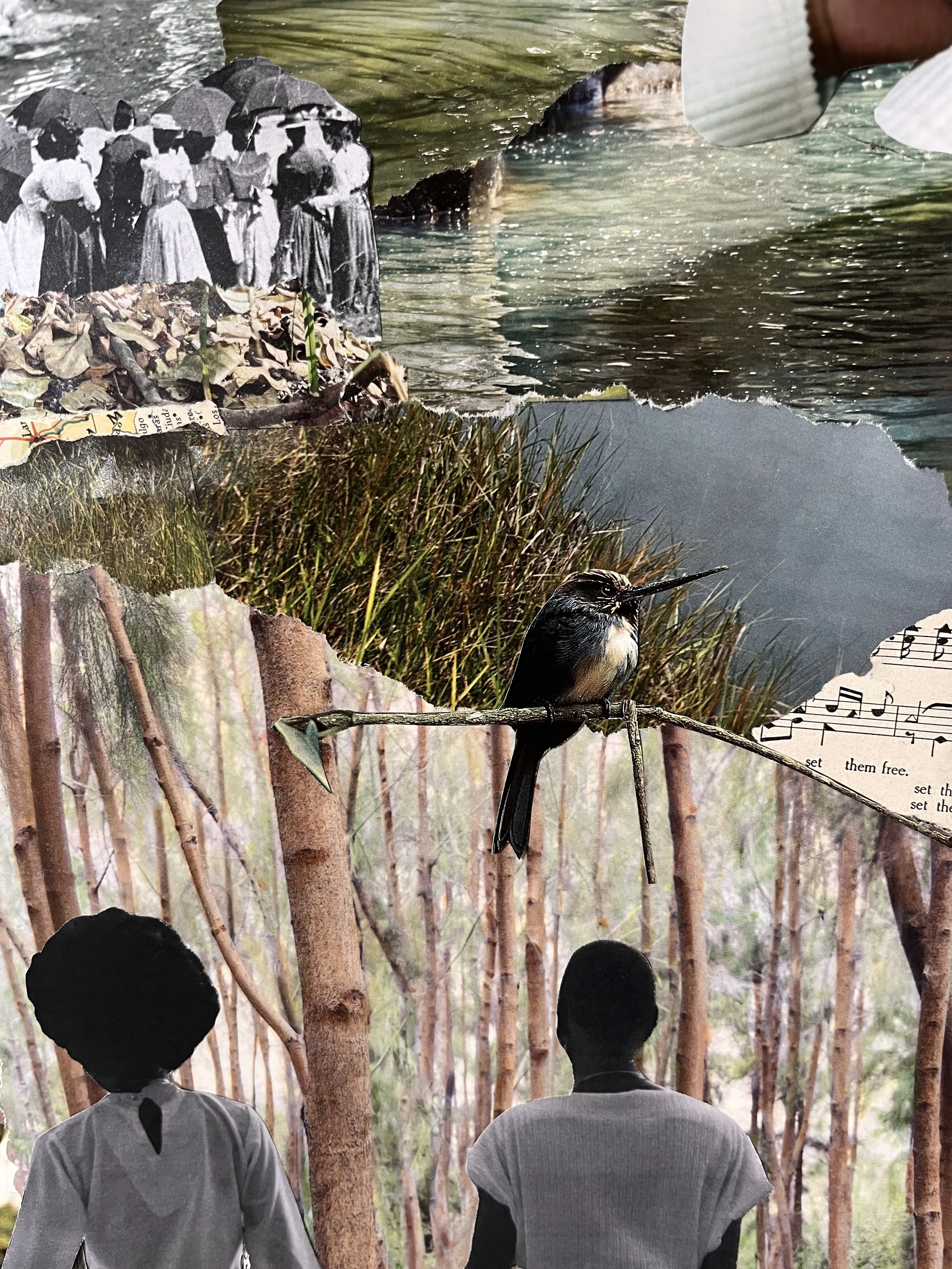 Hummingbird Harbor.JPG
