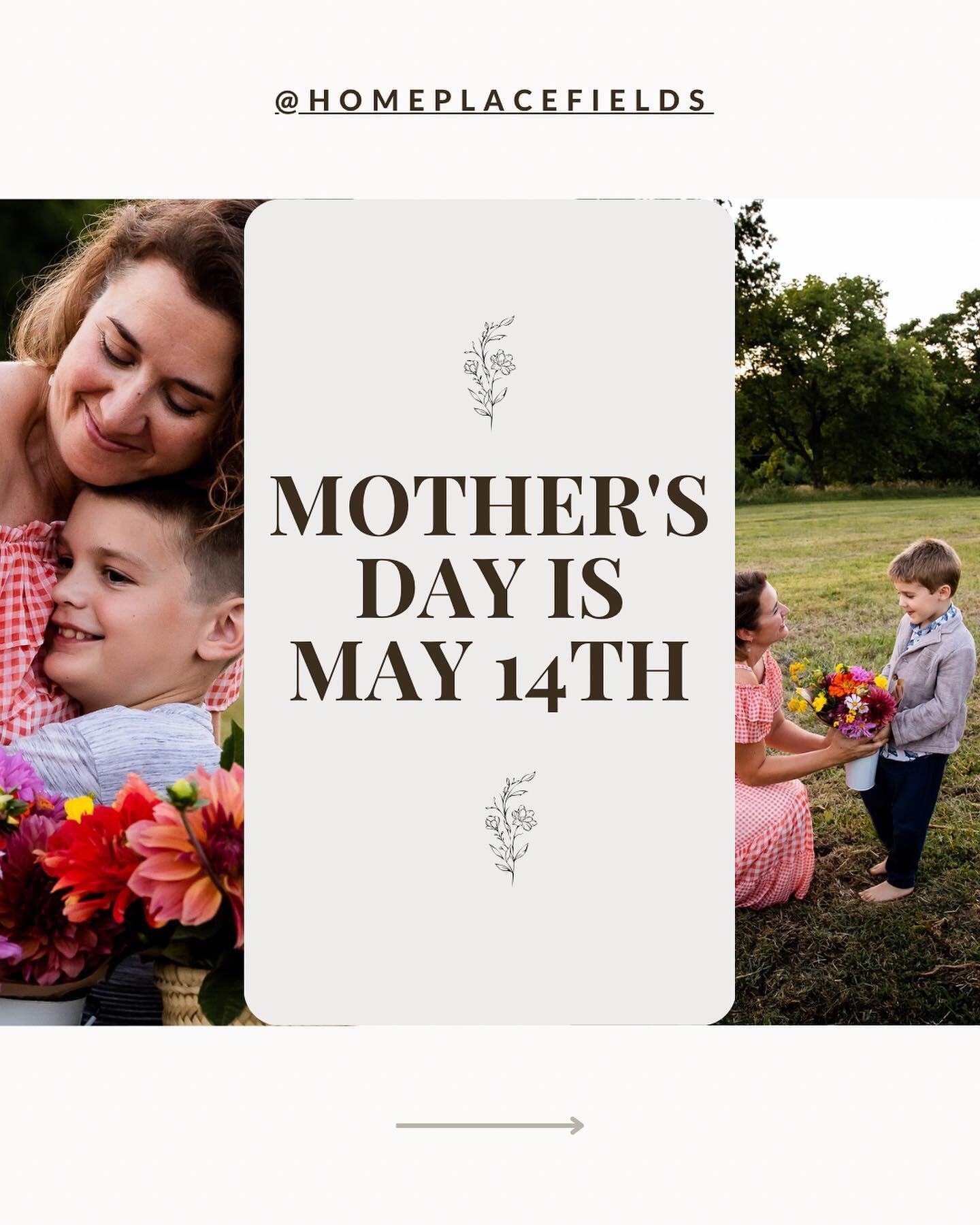 Mother&rsquo;s Day is near and we want to make showing your gratitude for that special mom in your life easier than ever&hellip; we have something for the gardening mom, the flower enthusiast mom, and the one who works long hours and needs a weekly r