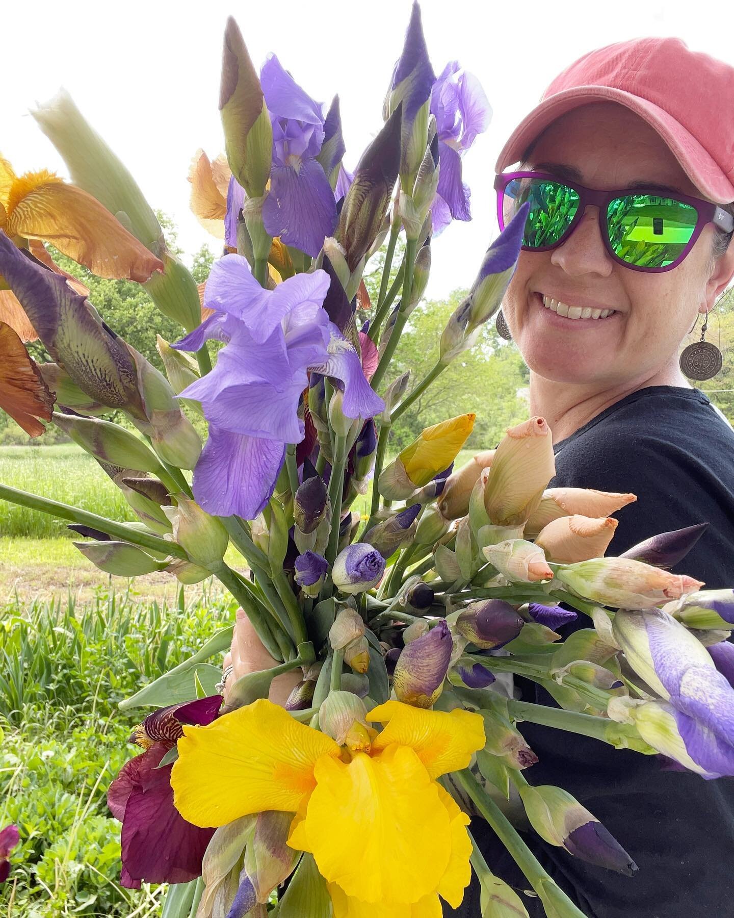Iris coming at ya! If you&rsquo;ve never stopped to smell the iris&hellip;.I suggest you try that today. It&rsquo;s a beautiful scent! #missourigrownflowers #oldfashionedflowers #vintageflowers #heirloomflowers #slowflowers #flowerfarmer
