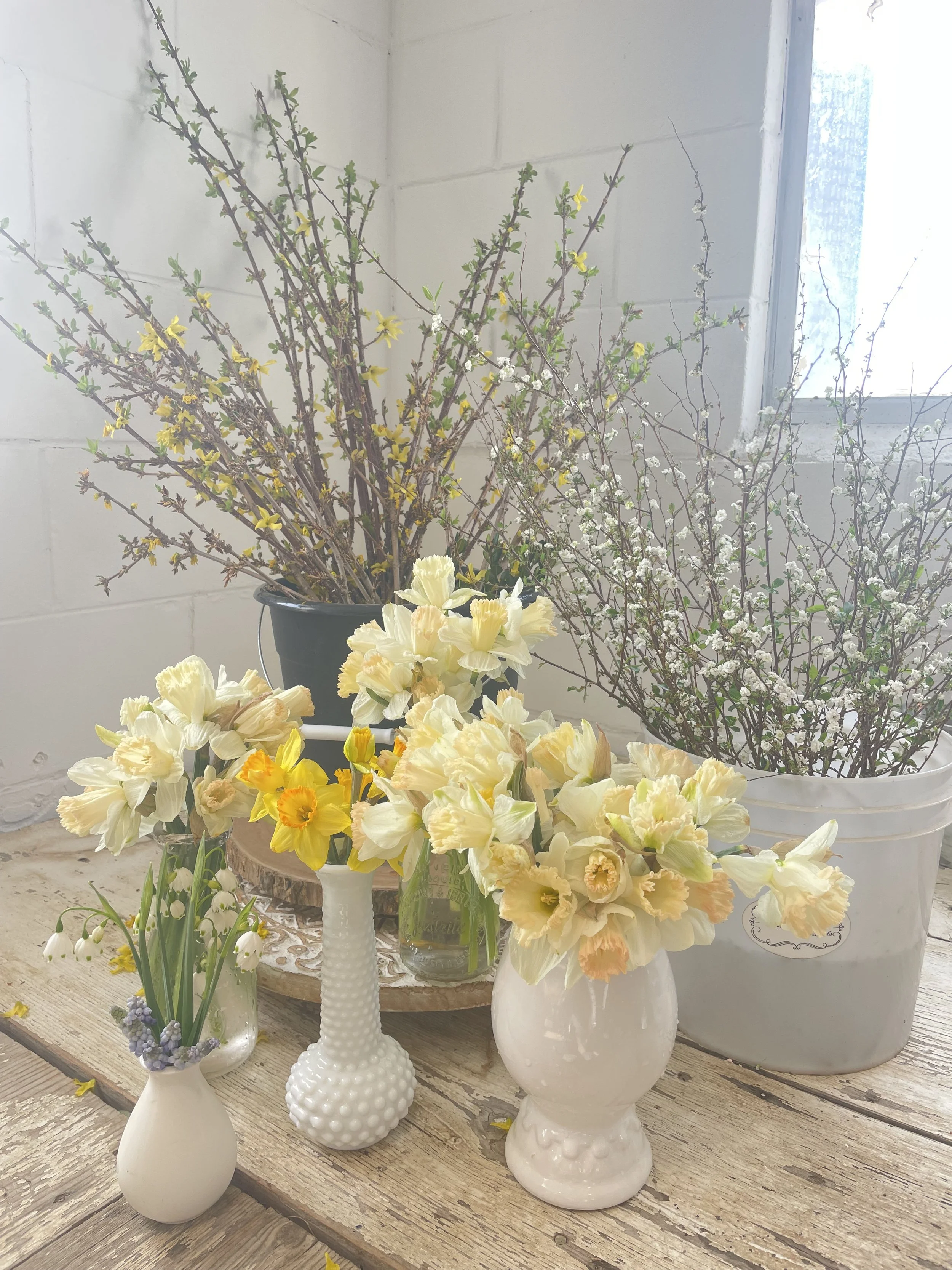 Mini Spring Open House in the Milk-Barn