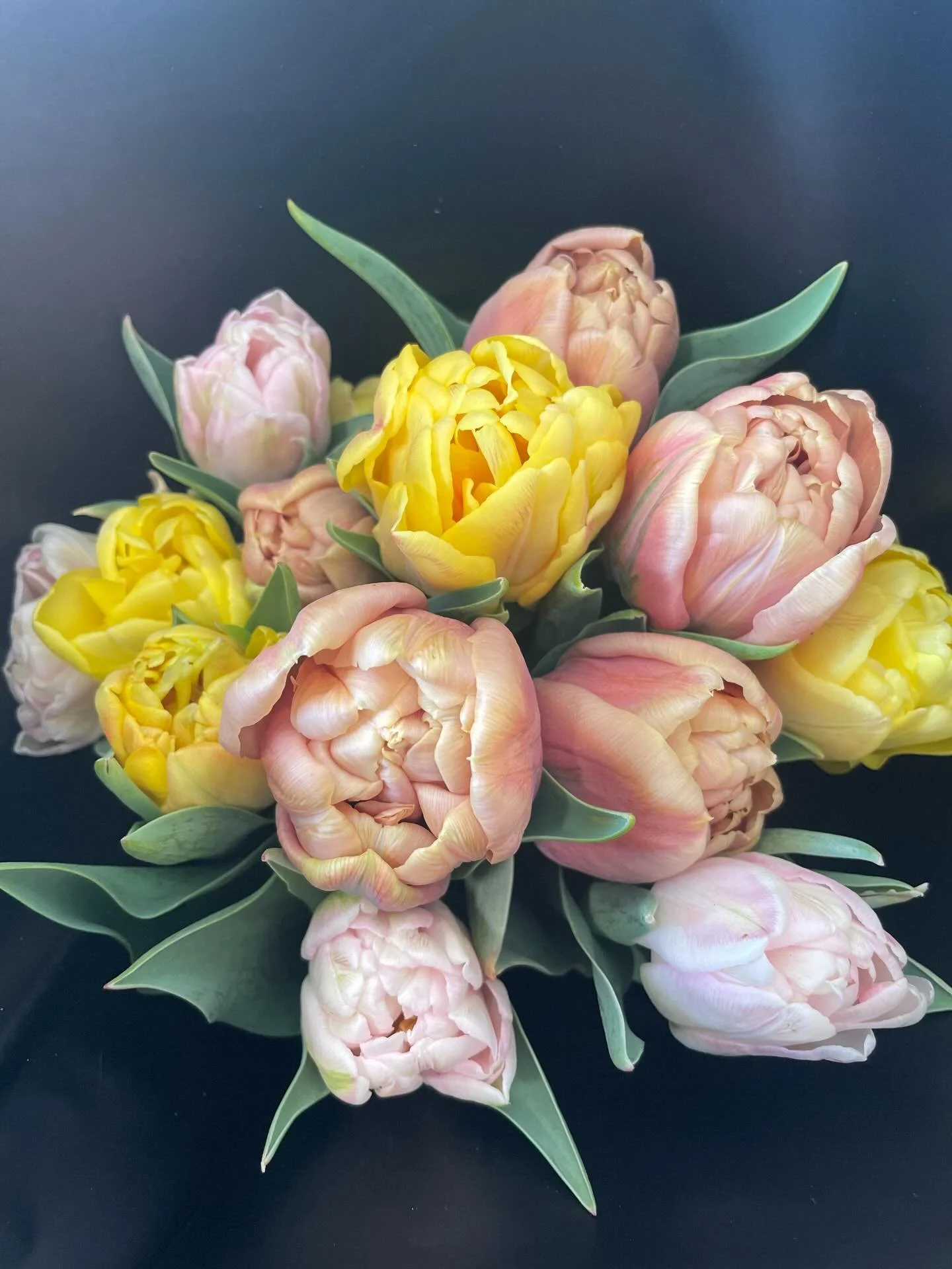 We will have several beautiful tulip bouquets at our pop up tomorrow @sossistersofsolace ! Come grab a delicious coffee and take home some of these beauties&hellip; #shoplocal #slowflowers #missourigrownflowers #tulips #popup
