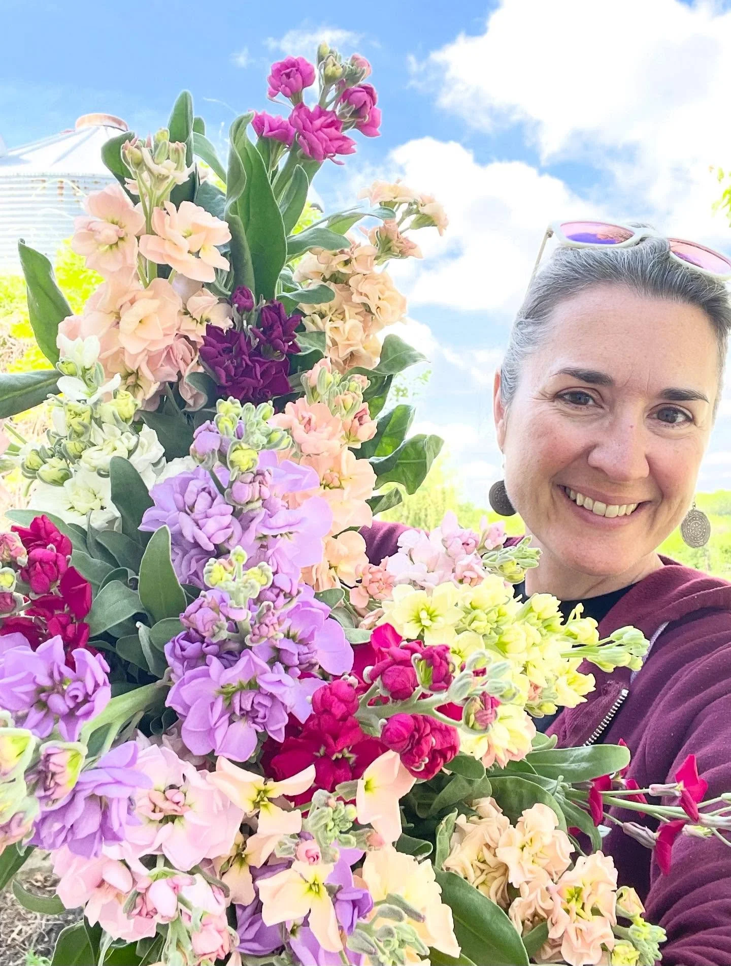 When the Stock starts to bloom in the hoop house everything gets more beautiful! The scent in the air, the colorful array of ruffles on each stem is a feast for the eyes&hellip; We attempted Stock for multiple years in the field and failed every time