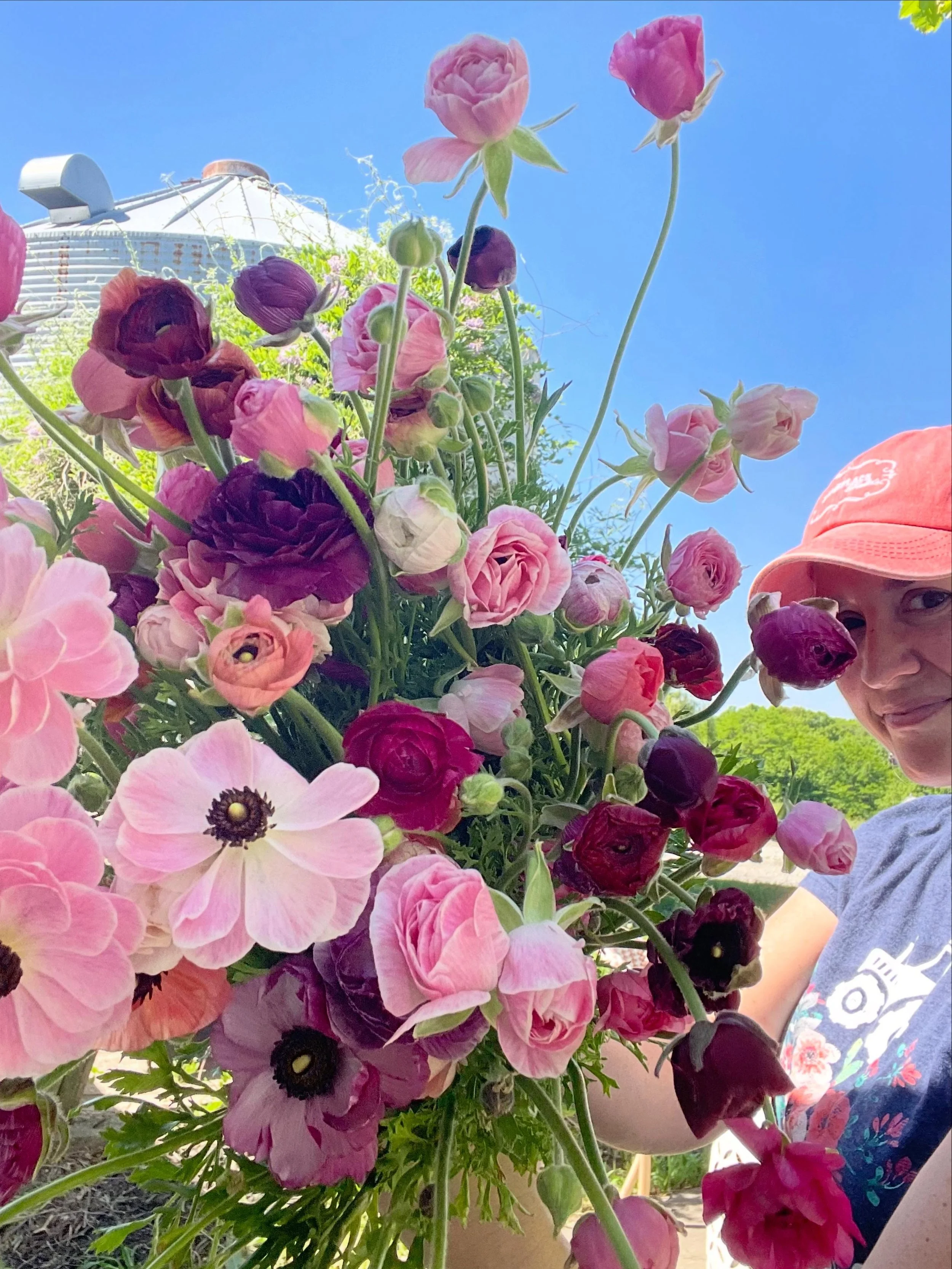 This one&rsquo;s for my Ranunculus fans&hellip; they&rsquo;re back! This is another one that thrives in our hoop but did not do so great in the field&hellip; we actually put some under shade cloth in the field one season to see what would happen&hell