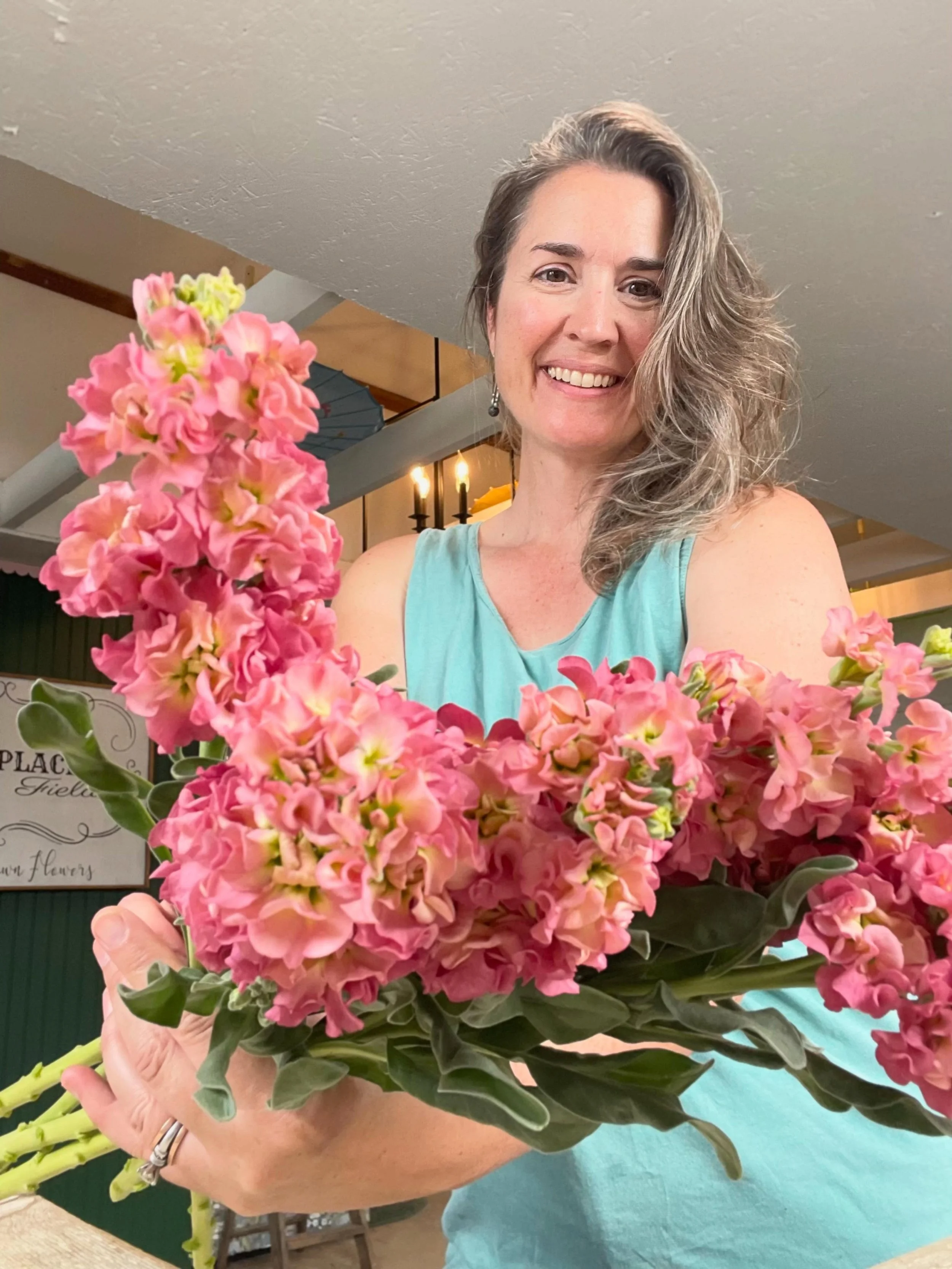 I&rsquo;m so excited we tried this variety of Stock from @johnnys_seeds this year! It&rsquo;s called Antique Rose &amp; it is coming up with our second succession of Stock in the hoop as we speak. 😍 #missourigrownflowers #flowerfarm #slowfloralstyle