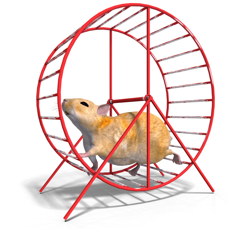 Hamster+wheel.jpg?format=750w