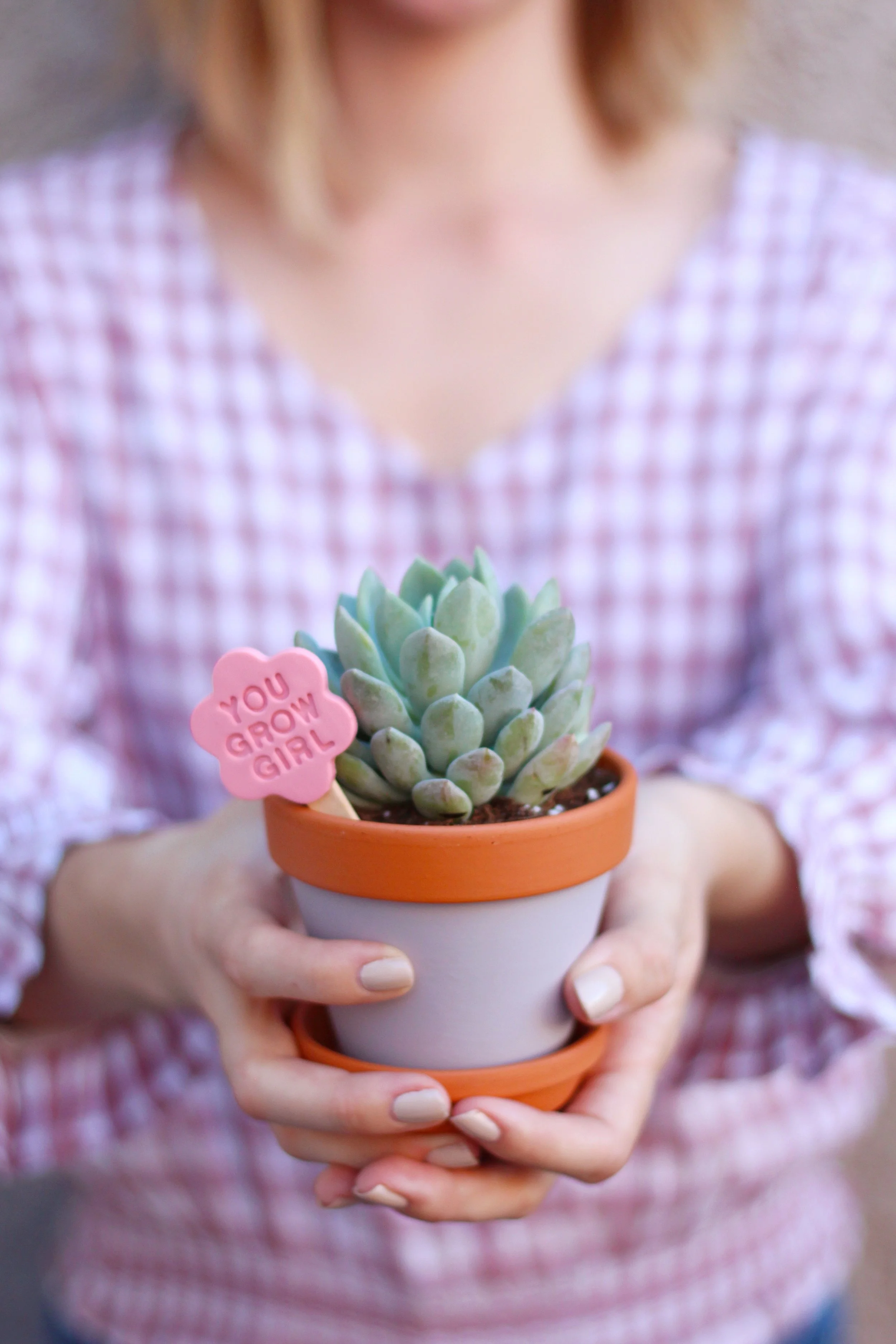 DIY Valentine’s Day Clay Plant Signs