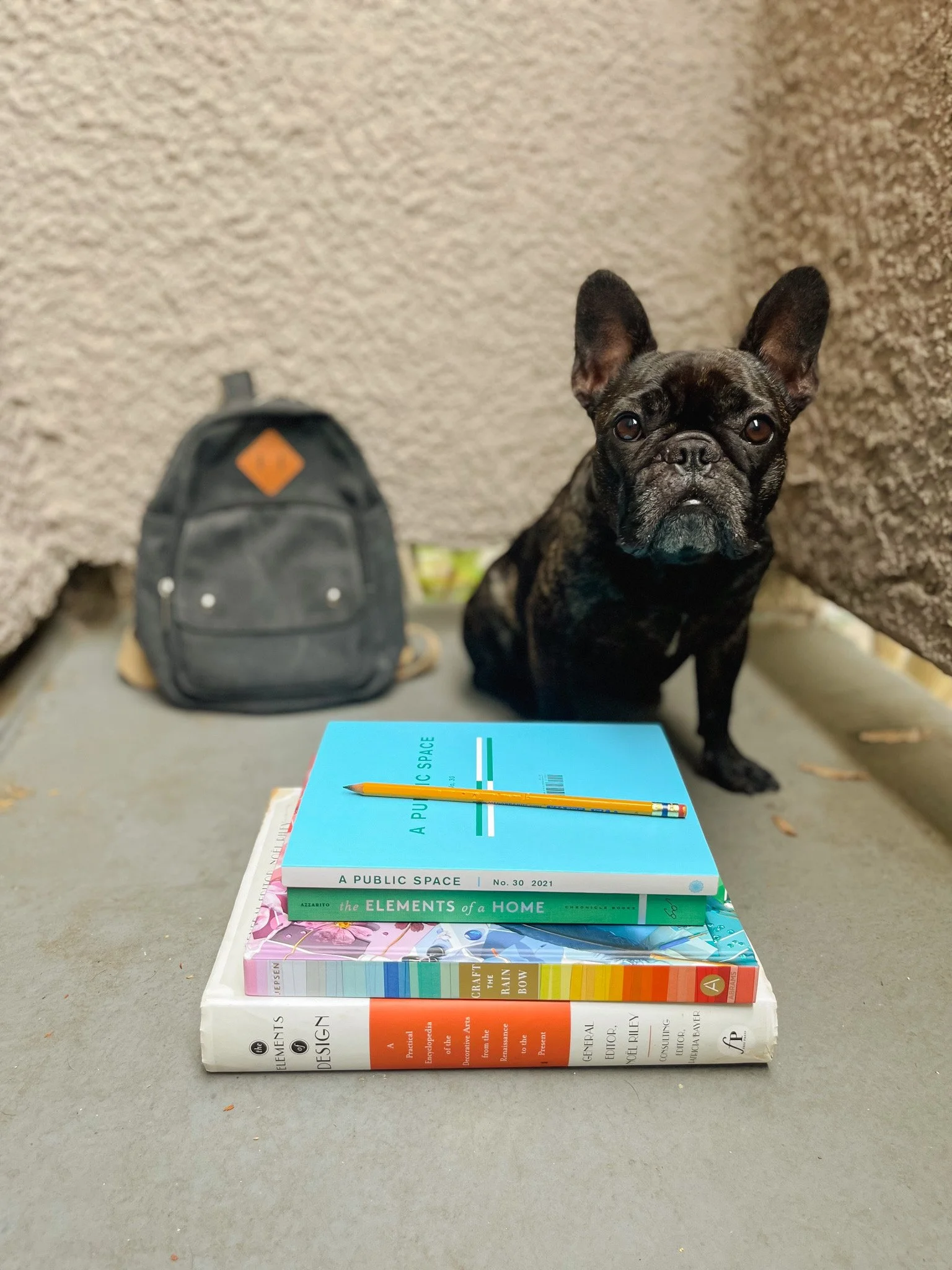 Friday Favorites: Back to School Supplies