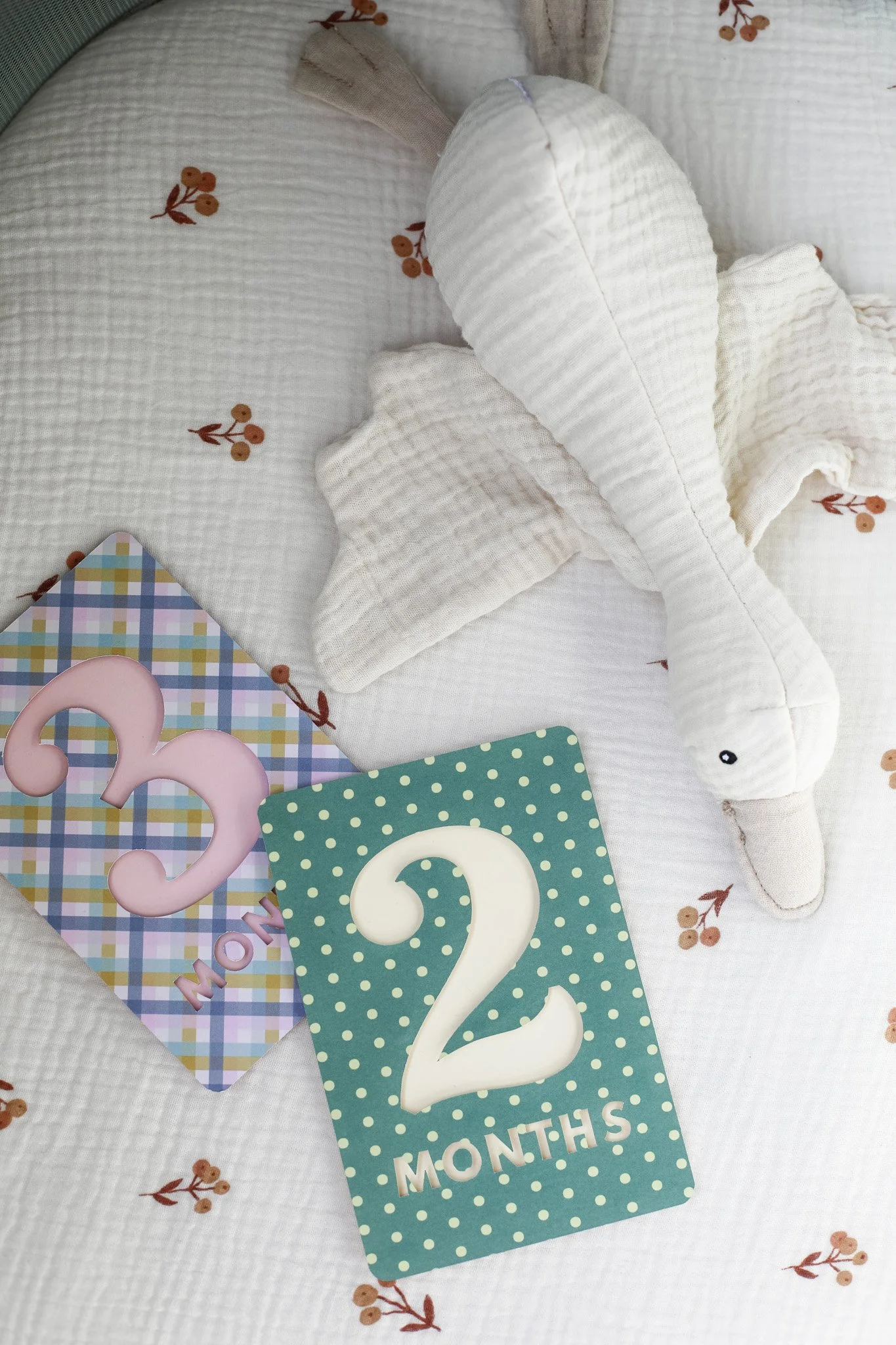 DIY Baby Monthly Milestone Cards (with the Cricut!)