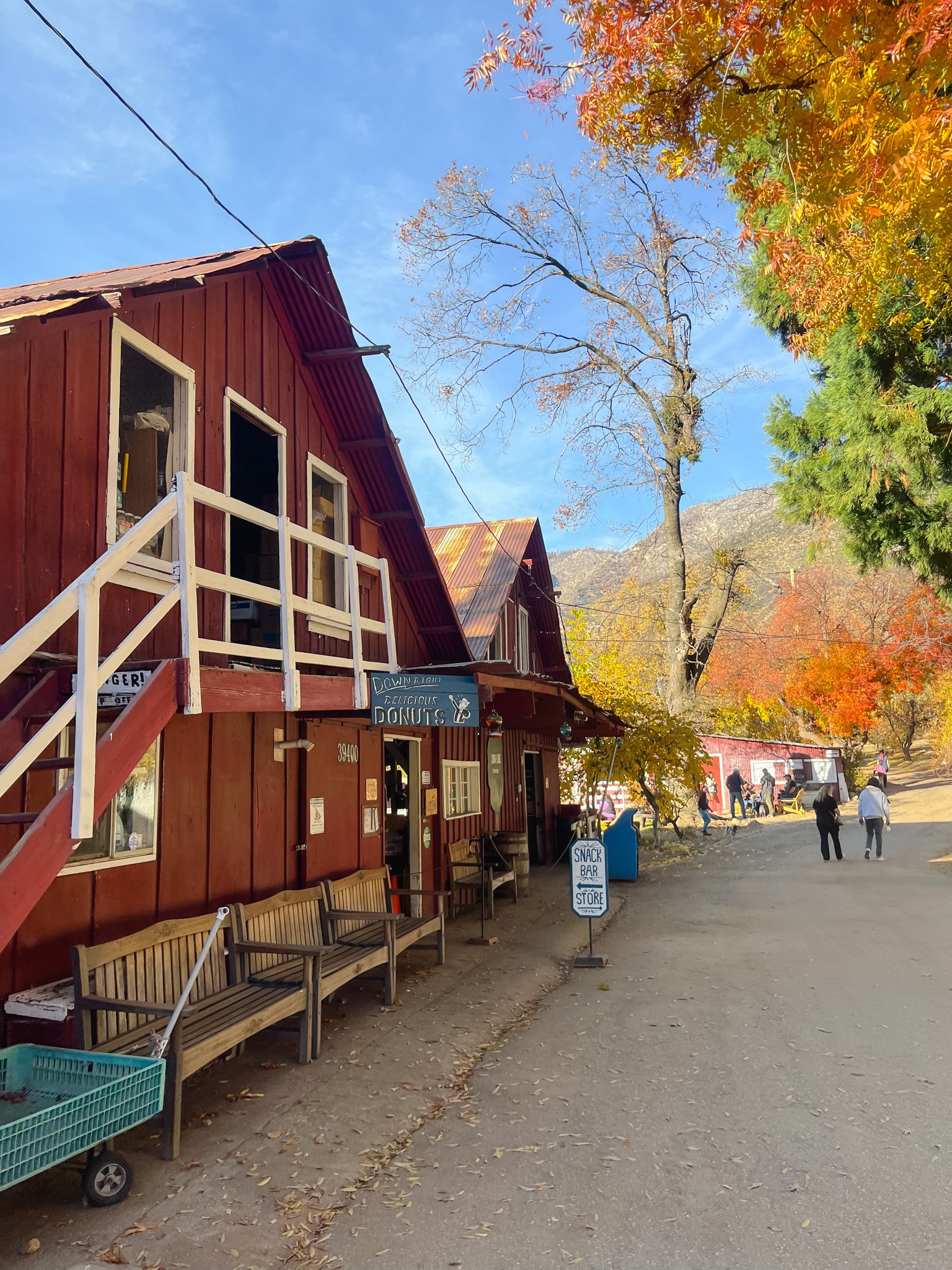 A Day Trip to Oak Glen (from Los Angeles) A Detailed Itinerary