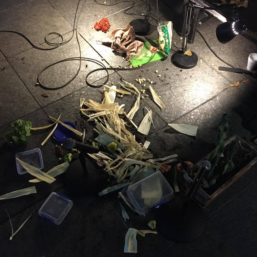 Performance of John Cage's "Child of Tree" at the Museum of Contemporary Art Chicago, 10.11.15