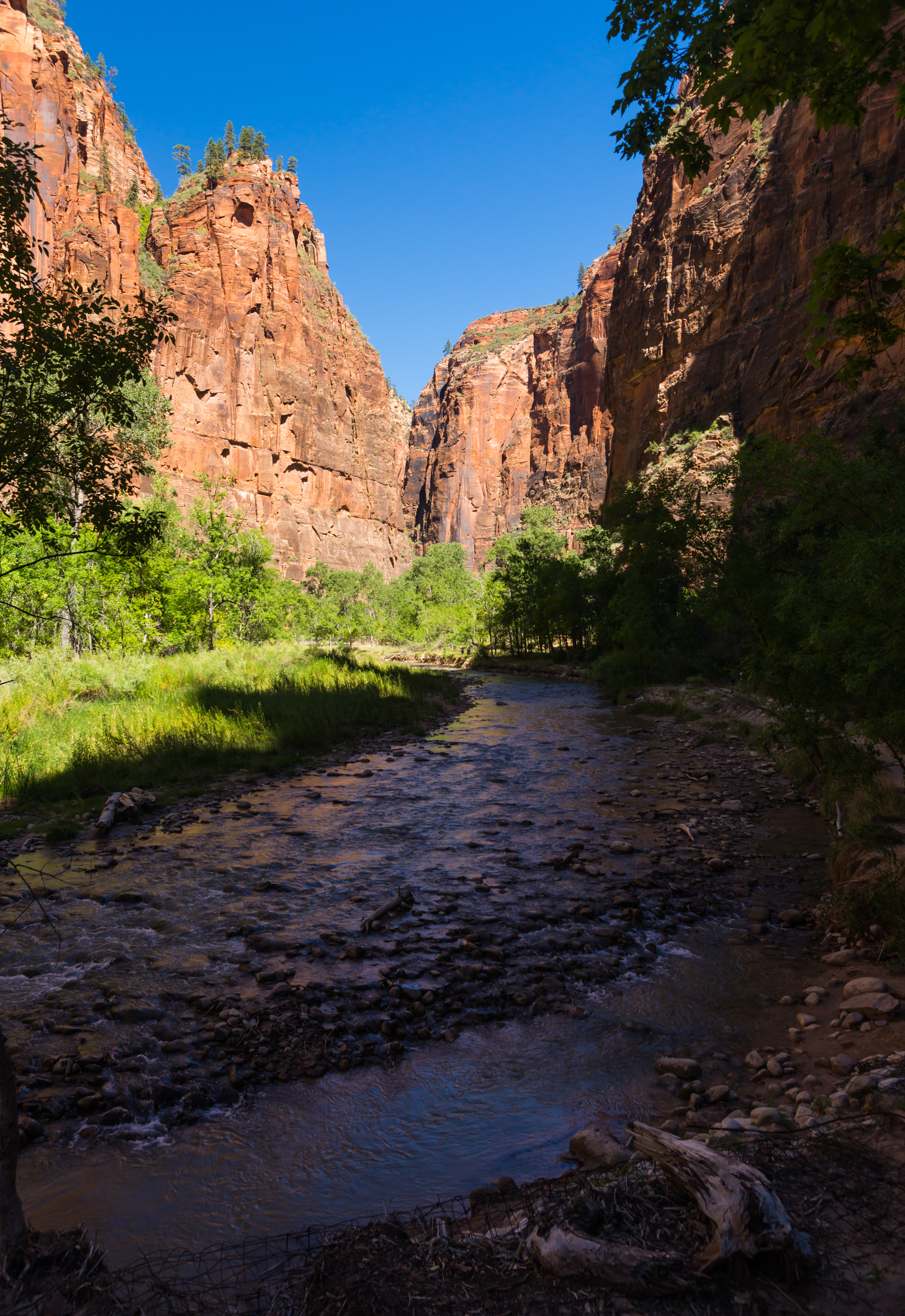 Zion's Virgin River