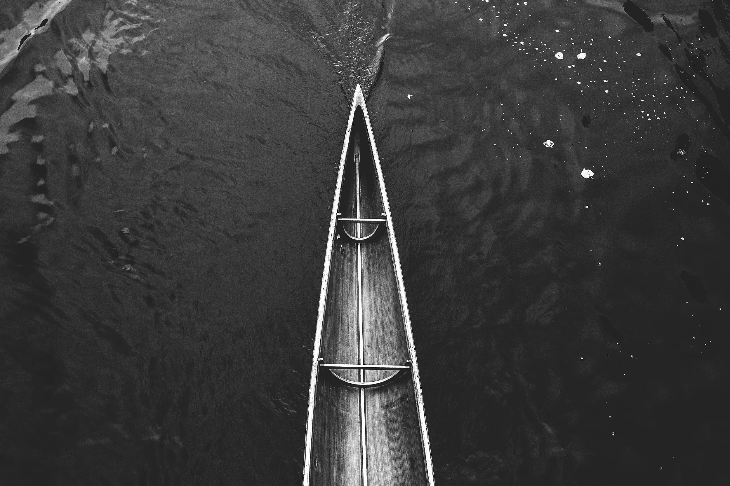 XXX2016_097.jpg
