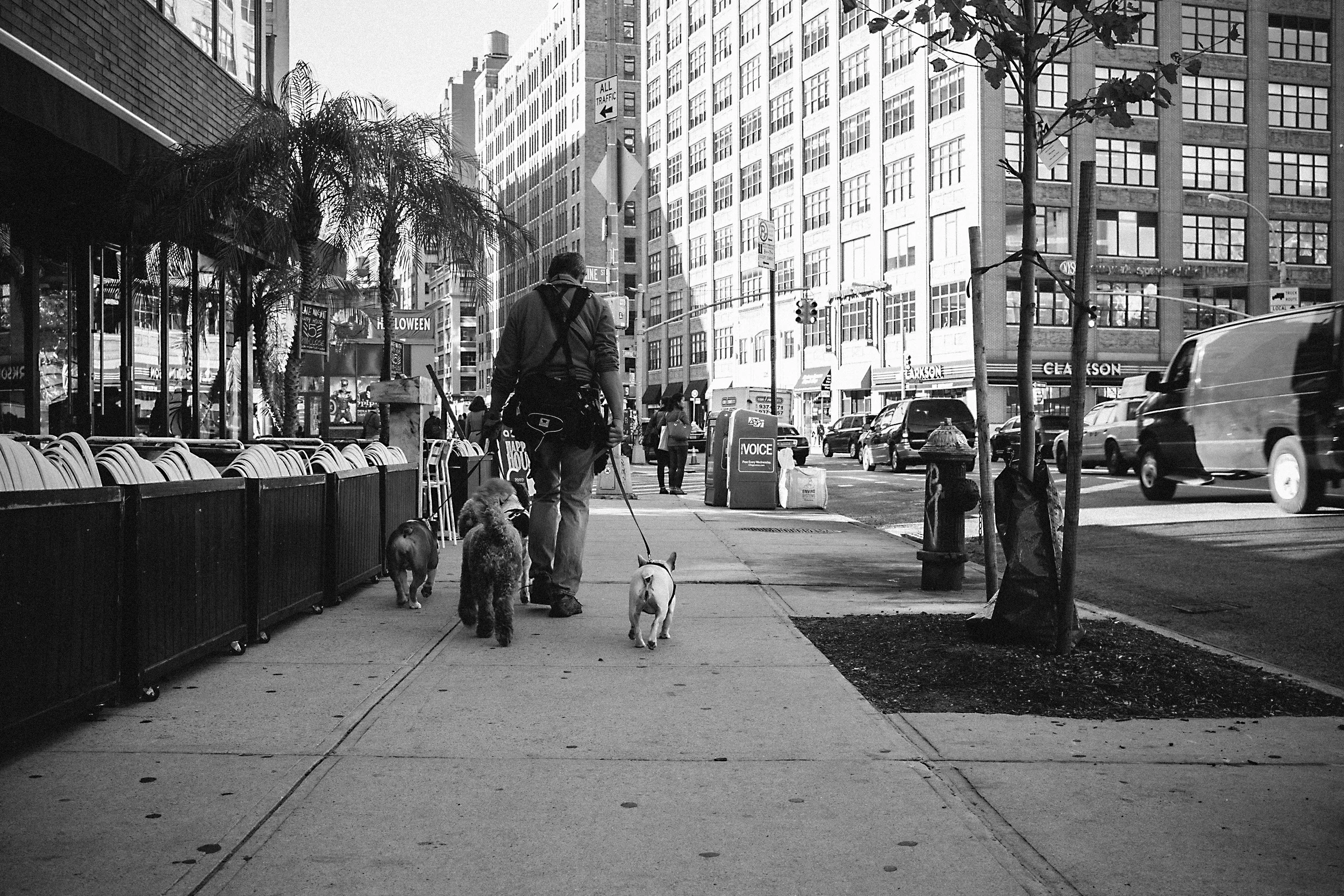 NYC_009.jpg