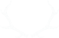 Antler-1.png