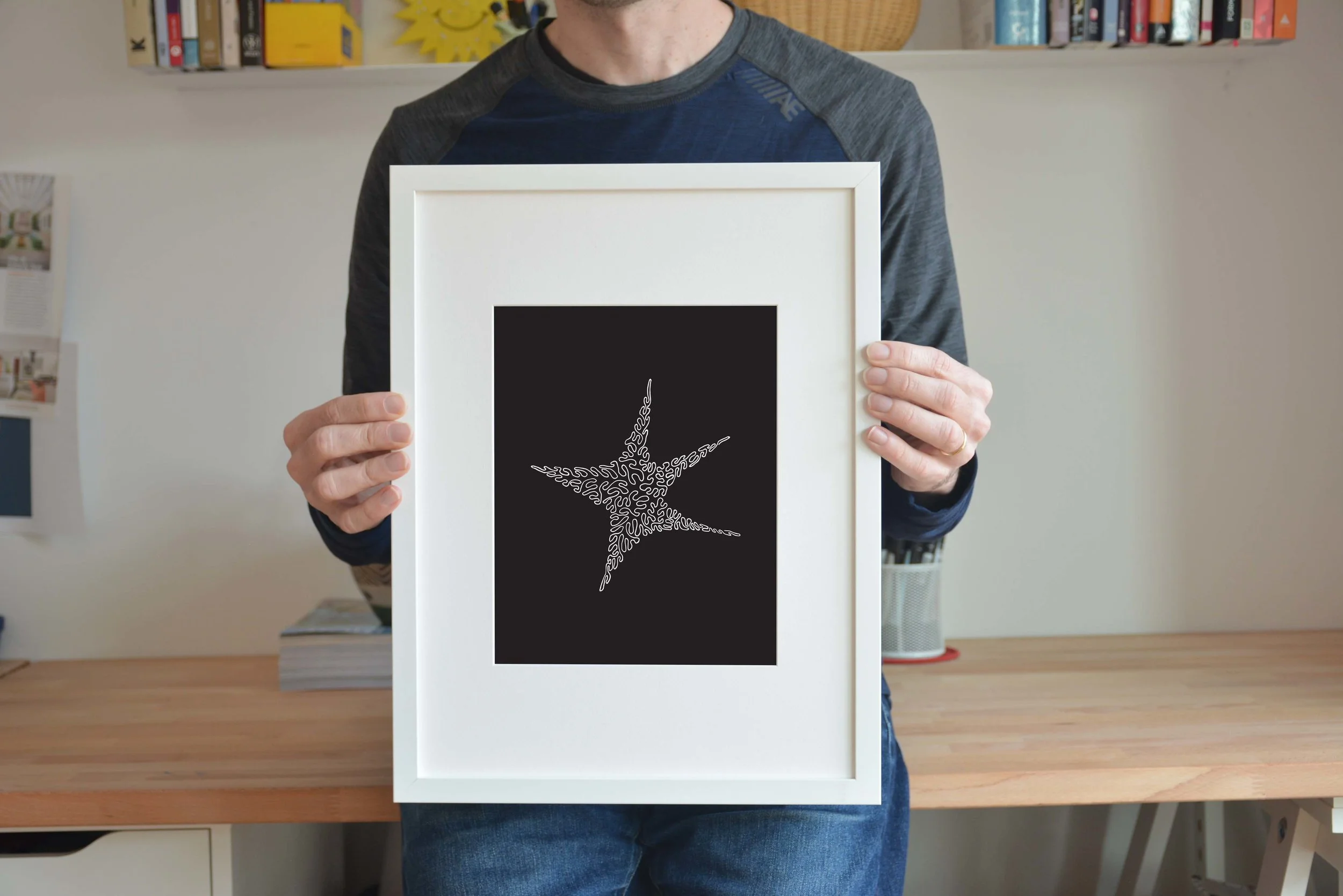 Wt frame wt star1.jpg