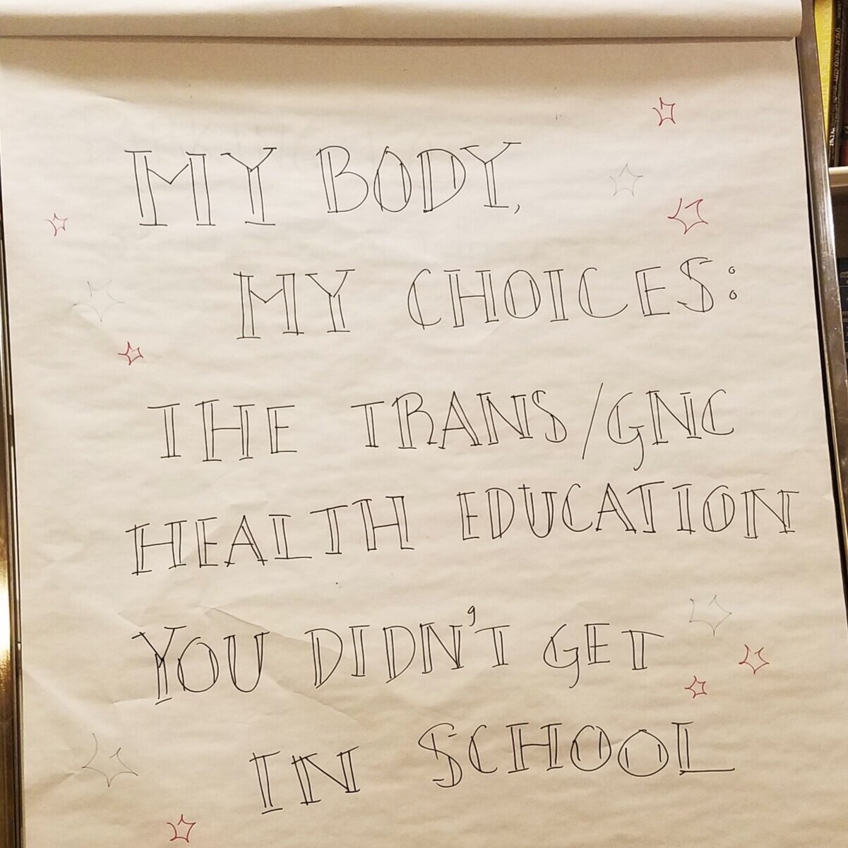 My Body My Choices - Trans Health Education