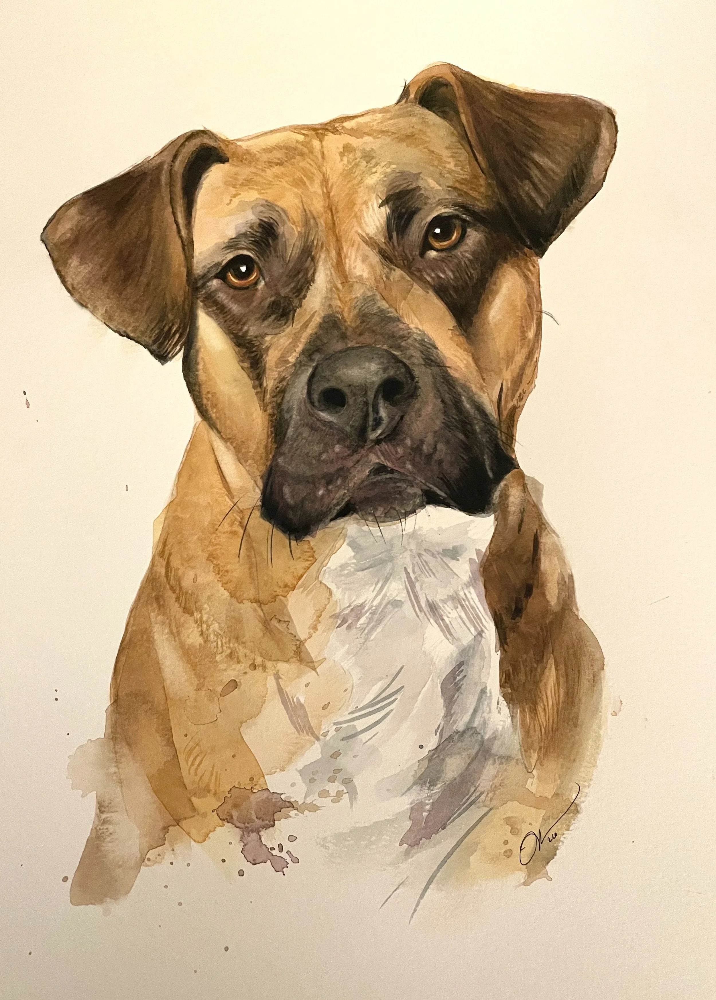 pup.jpg