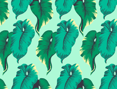 TARO LEAF