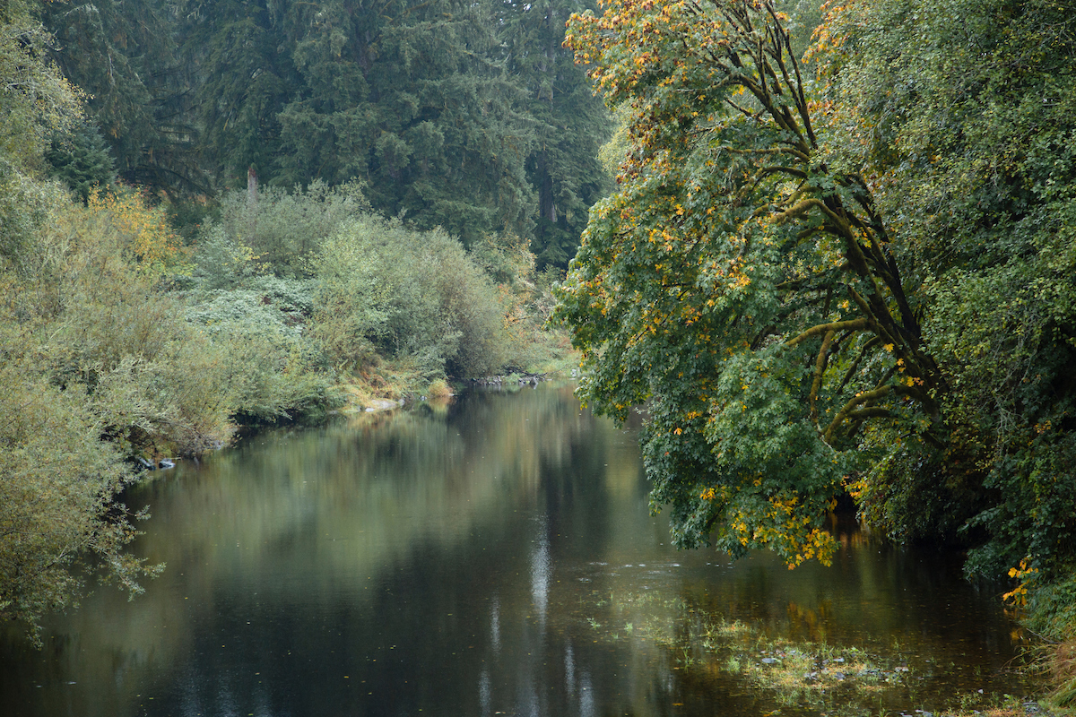 This is a truly special place. The river. The house. So much thought and care put into every corner. We felt truly welcomed and cared for.