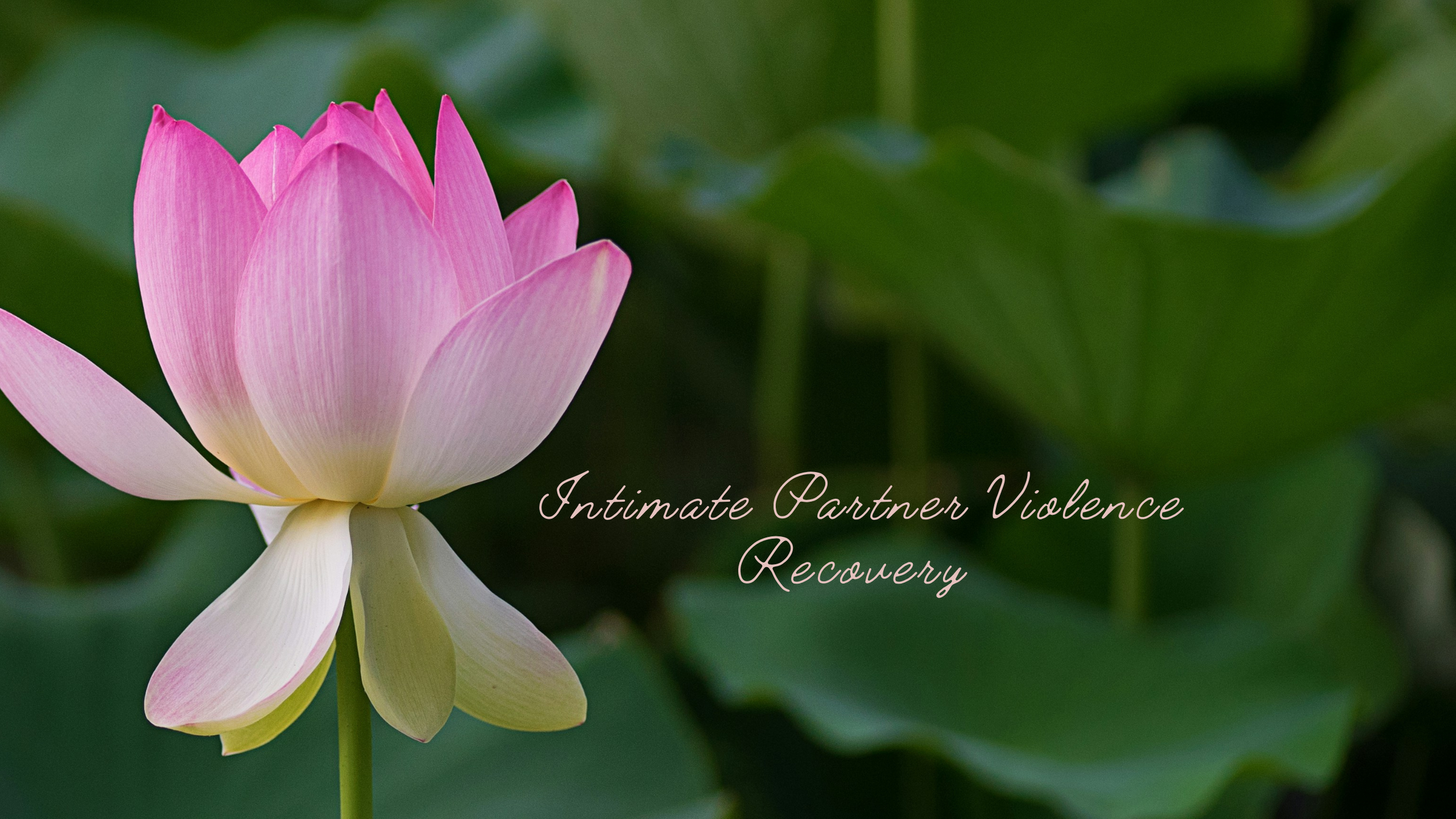 Beauty and Style YouTube Banner (3).png