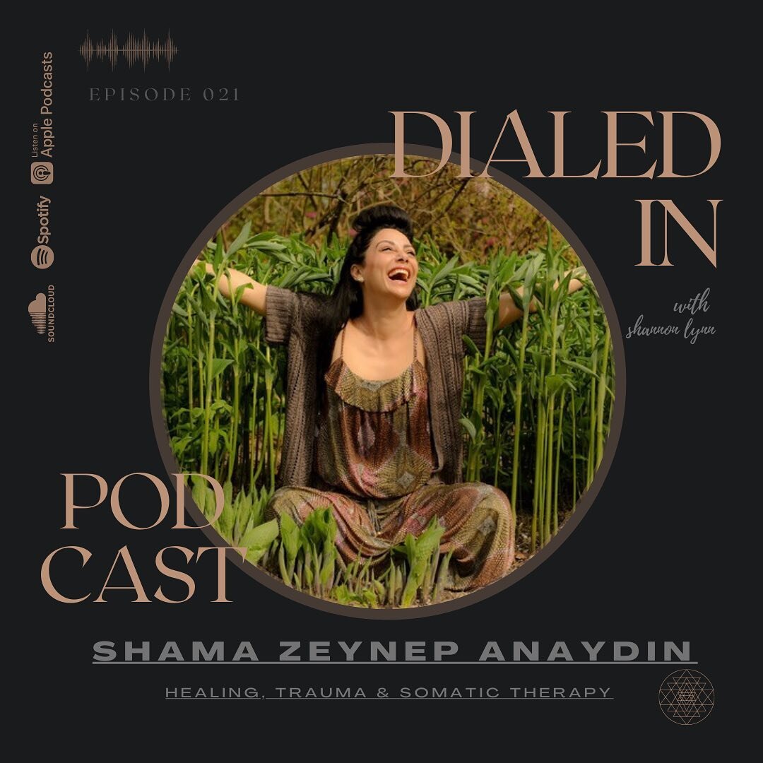 Dialed In Podcast 021 ~ Healing, Trauma, and Somatic Therapy with Shama Zeynep Anaydın

In this episode we Dial In with somatic therapist and breath work specialist, Shama @shama_breathwork who uses many modalities to work with healing the nervous sy