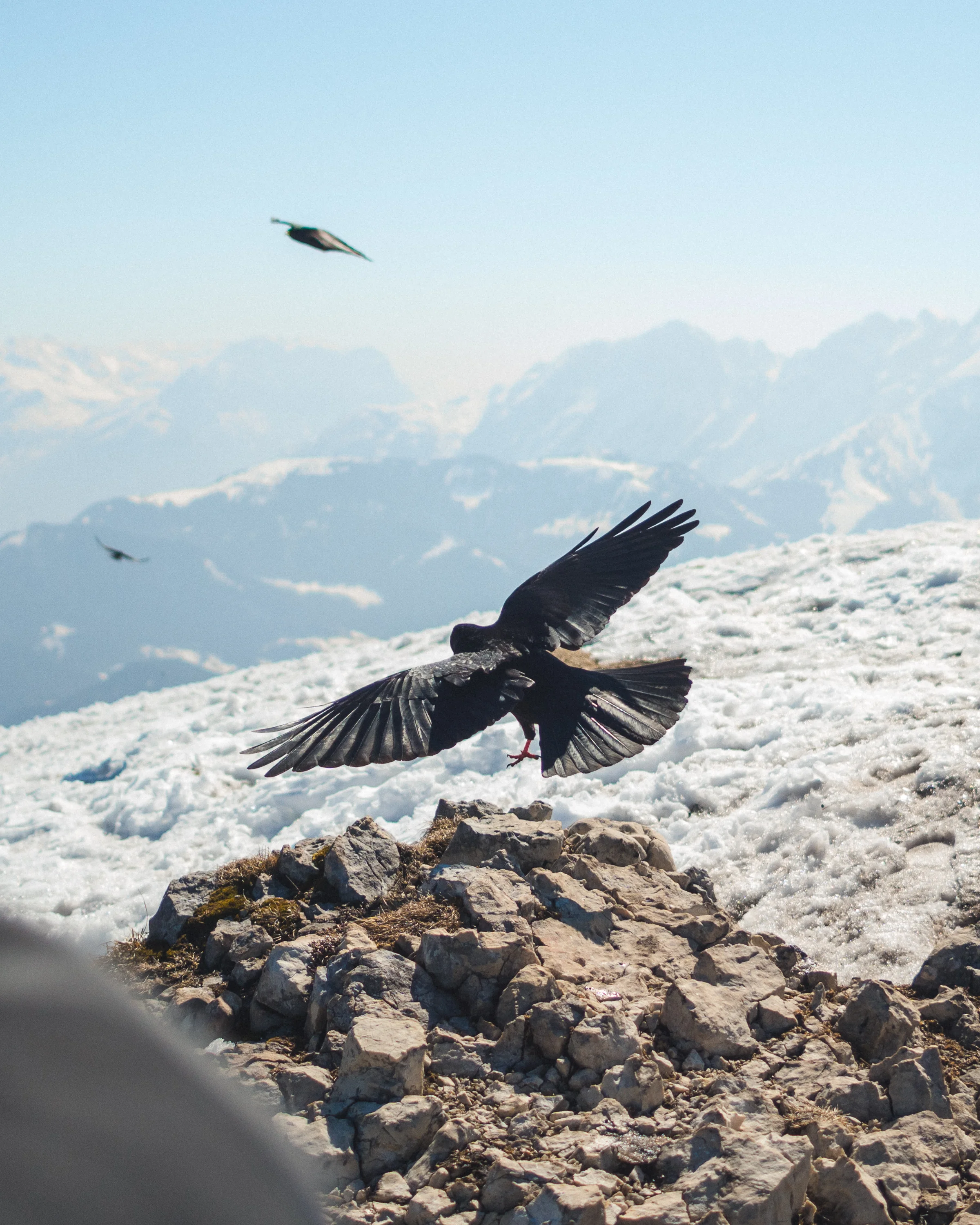 20190331_Untersberg-05277.jpg