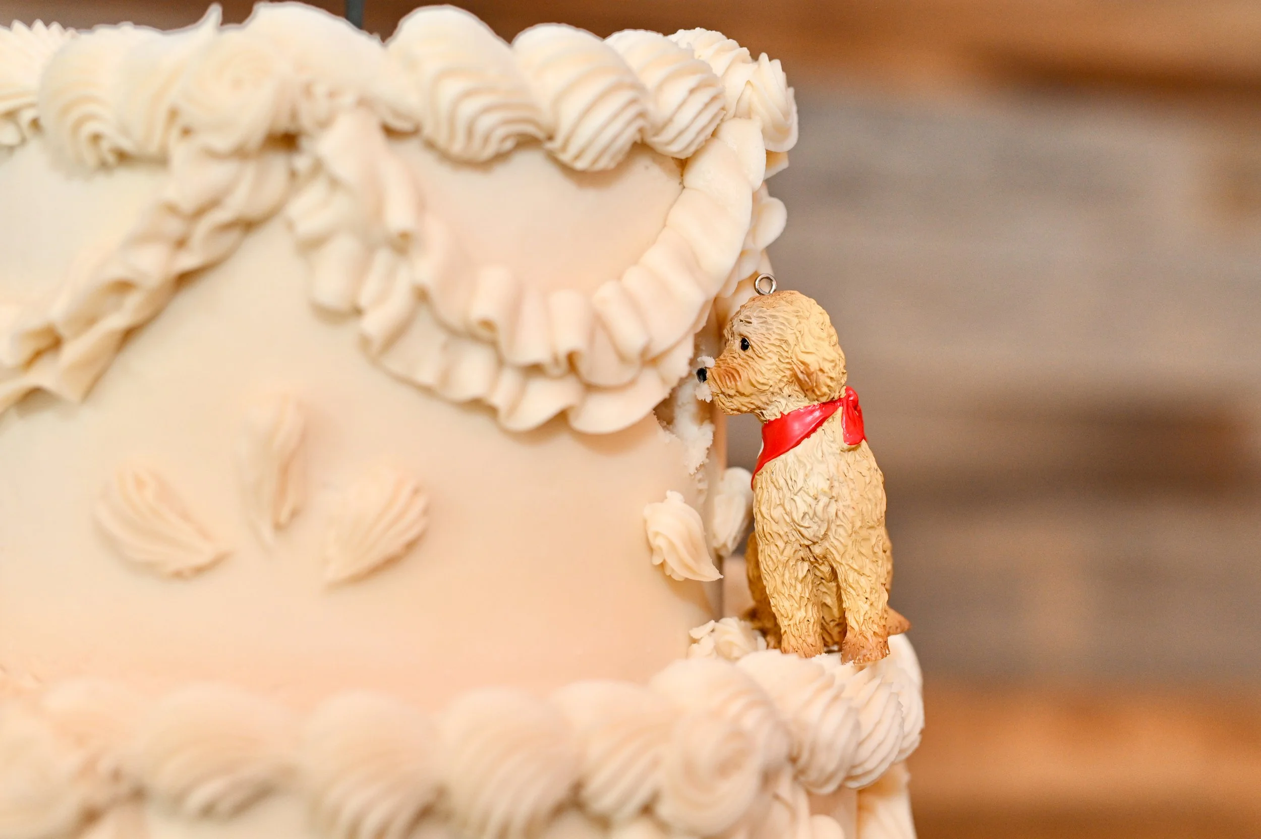 Hannah & Josh Vow Renewal - 9 of 14.jpeg