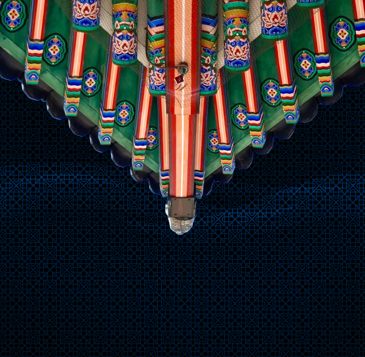 Povu Collective.jpeg