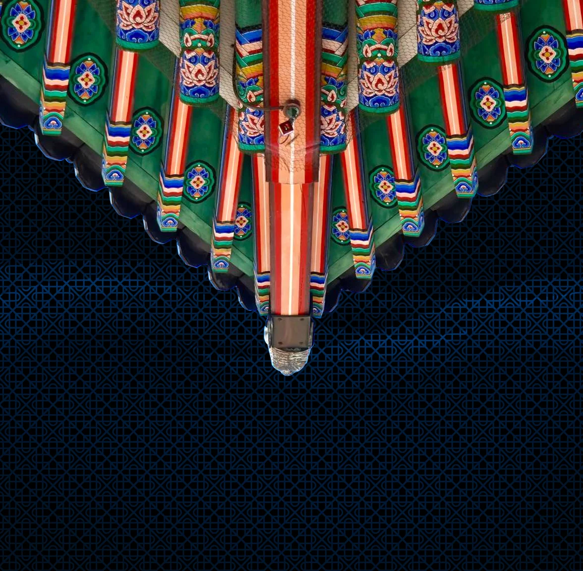 Povu Collective.jpeg