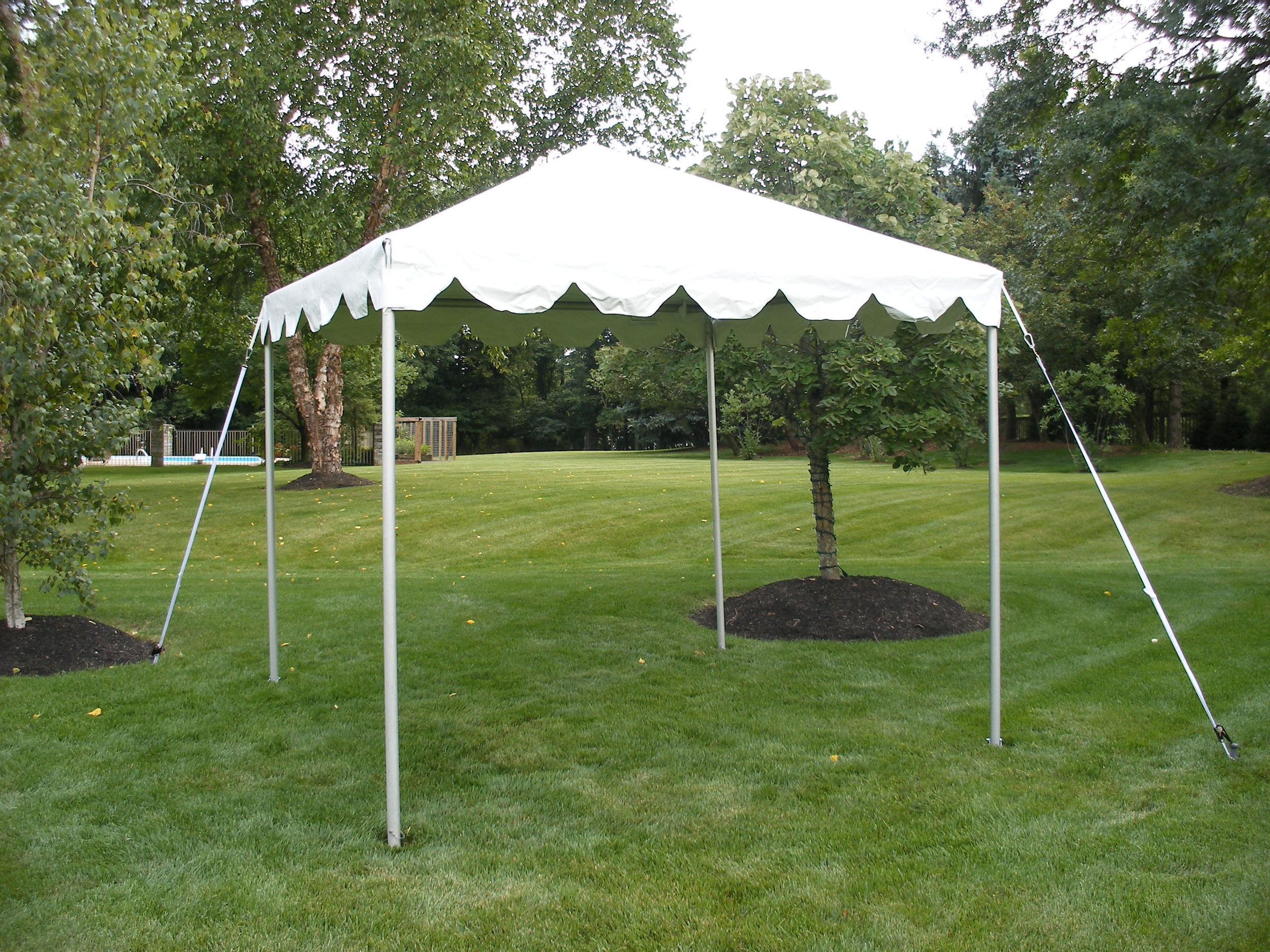 10' x 10' Frame Tents