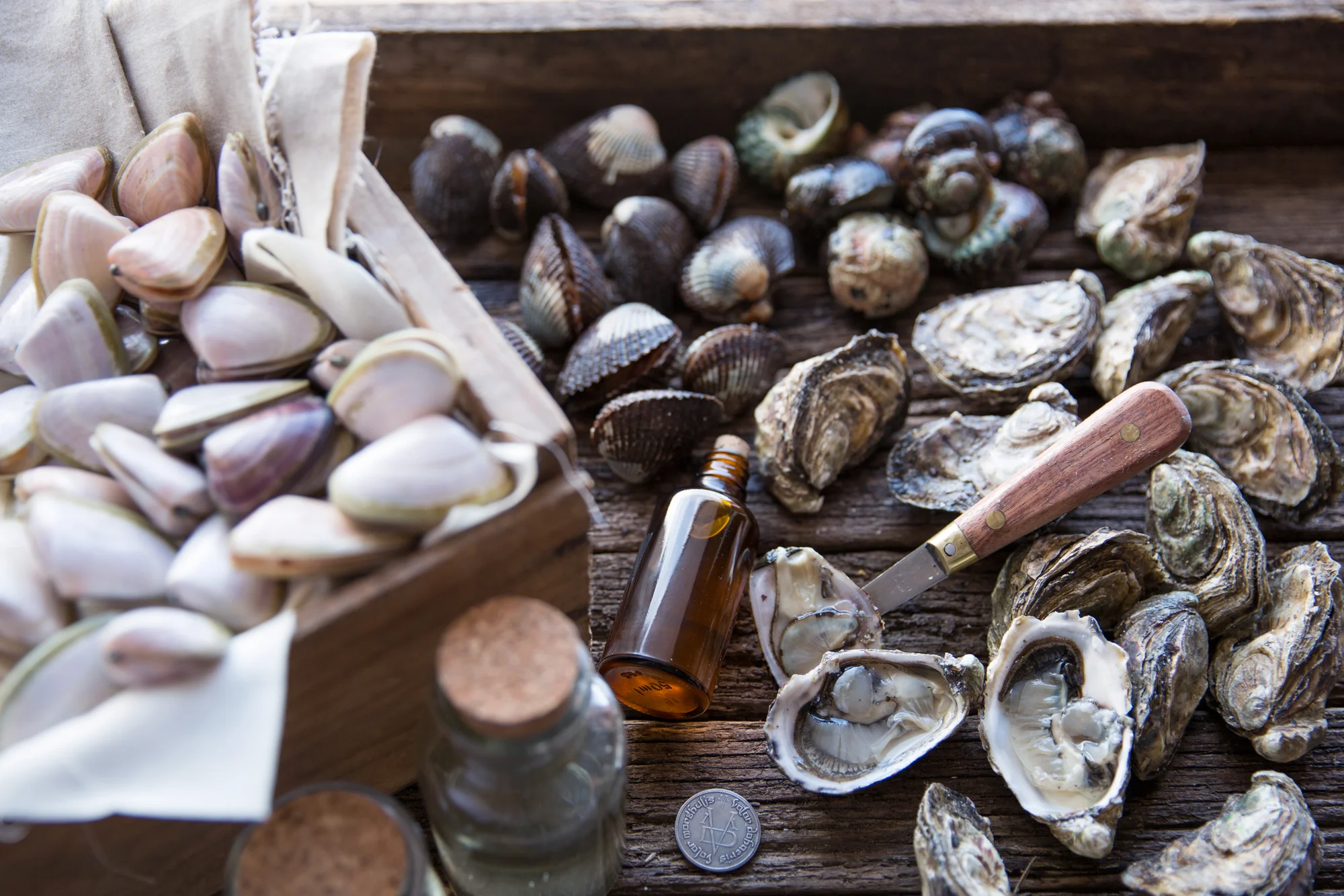 My version of Arya's oyster cart from Game of Thrones. For News.com.au, April 2016.